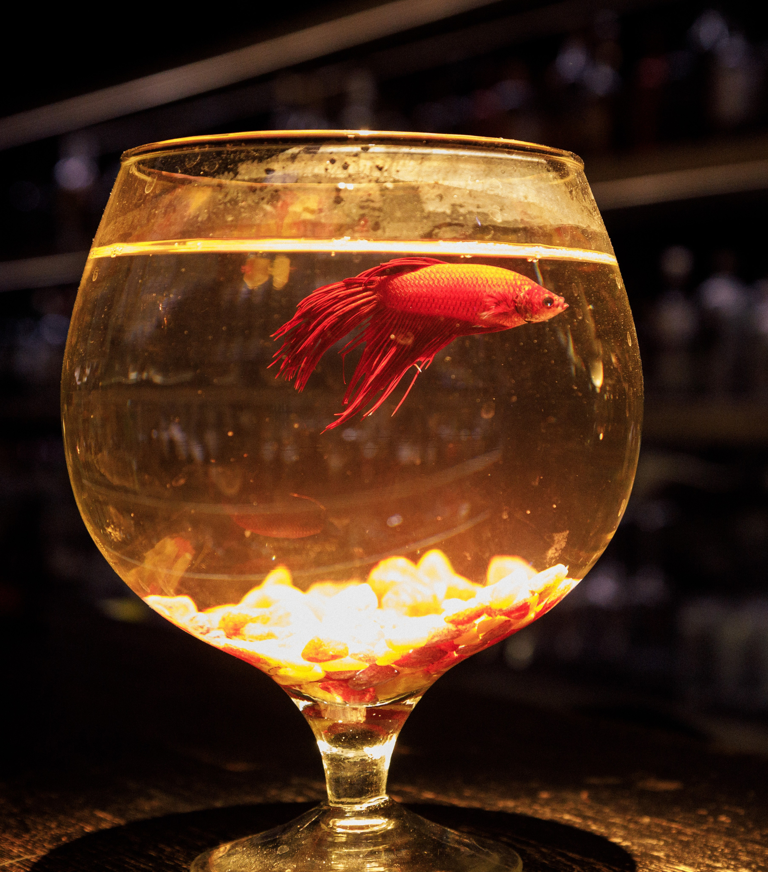 НЕ свадебный переполох. Артём Бачурин — свадебный фотограф Воронеж