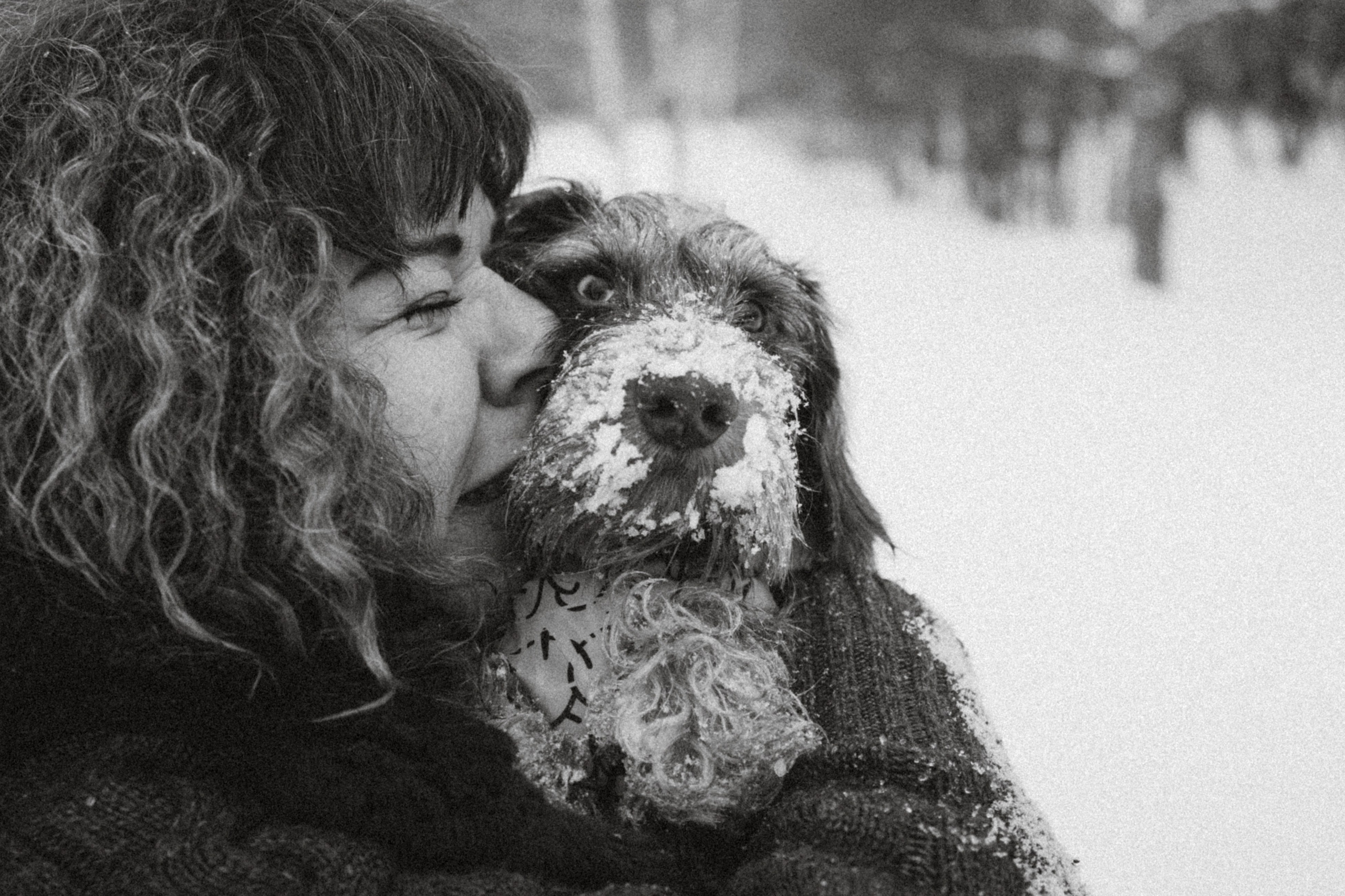 Каспер и его семья