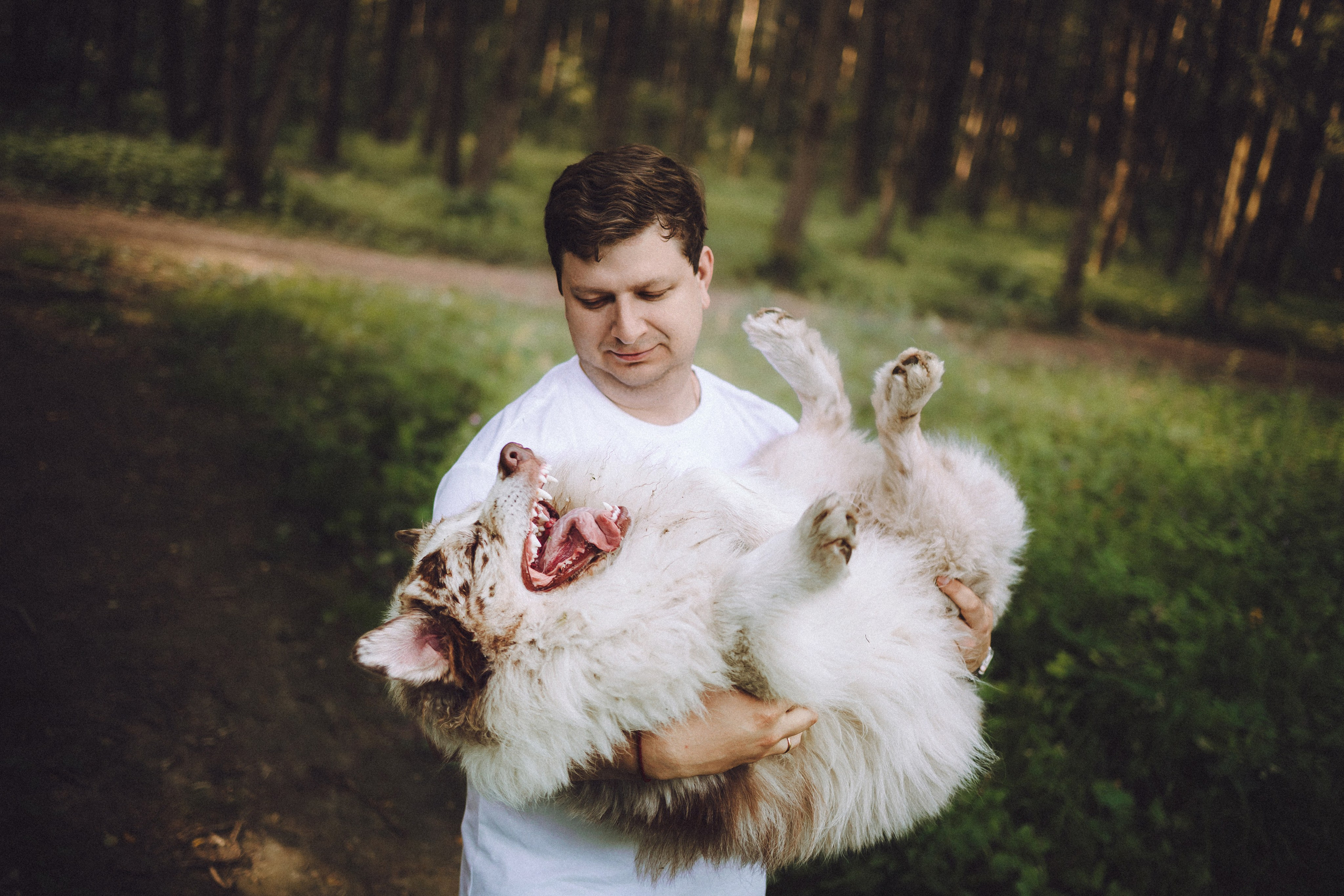 Катя, Андрей, Гектор, Ричи, Тортик и Трой