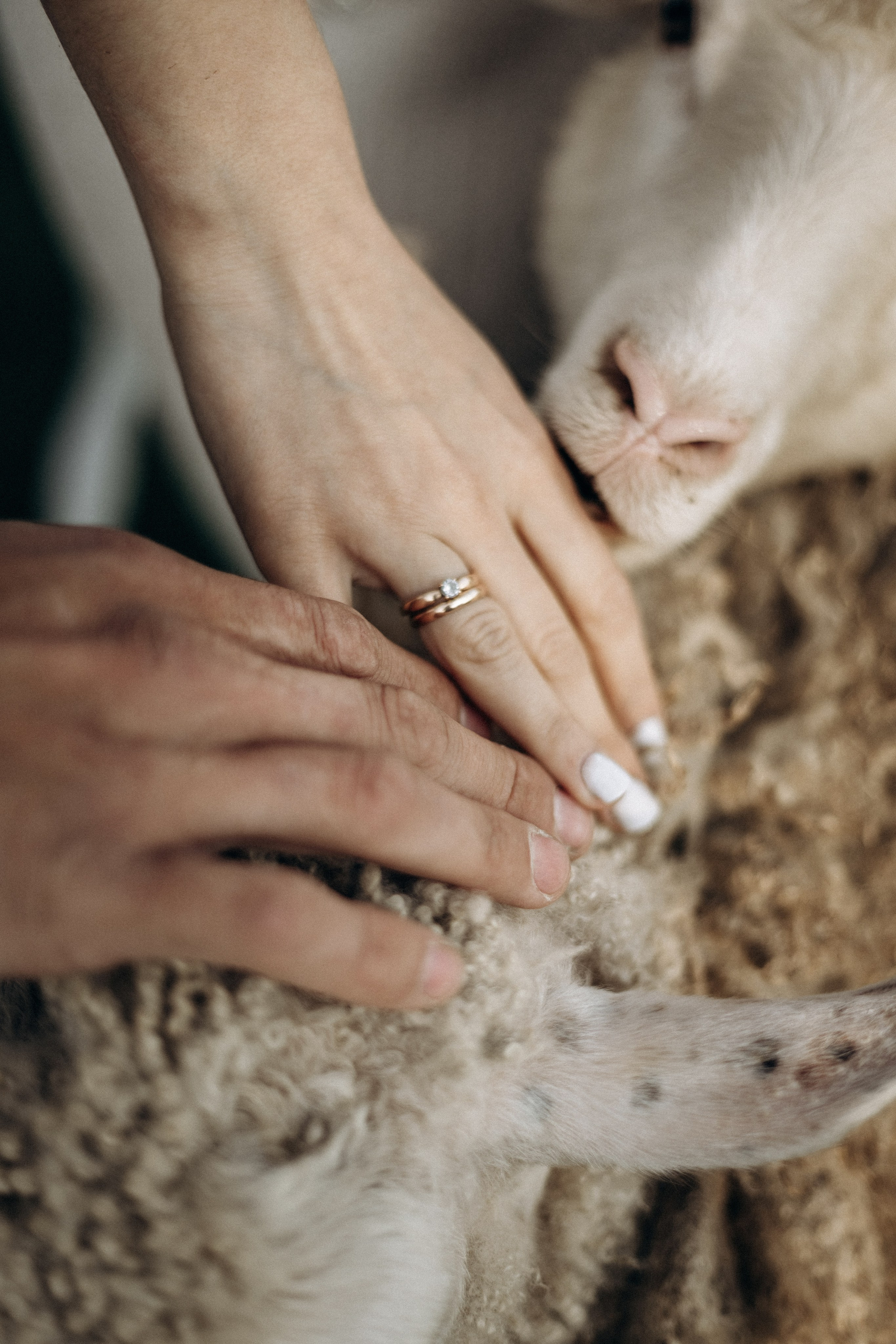 Виктория & Дмитрий. Семейный фотограф Беларуси Юлия Барейша