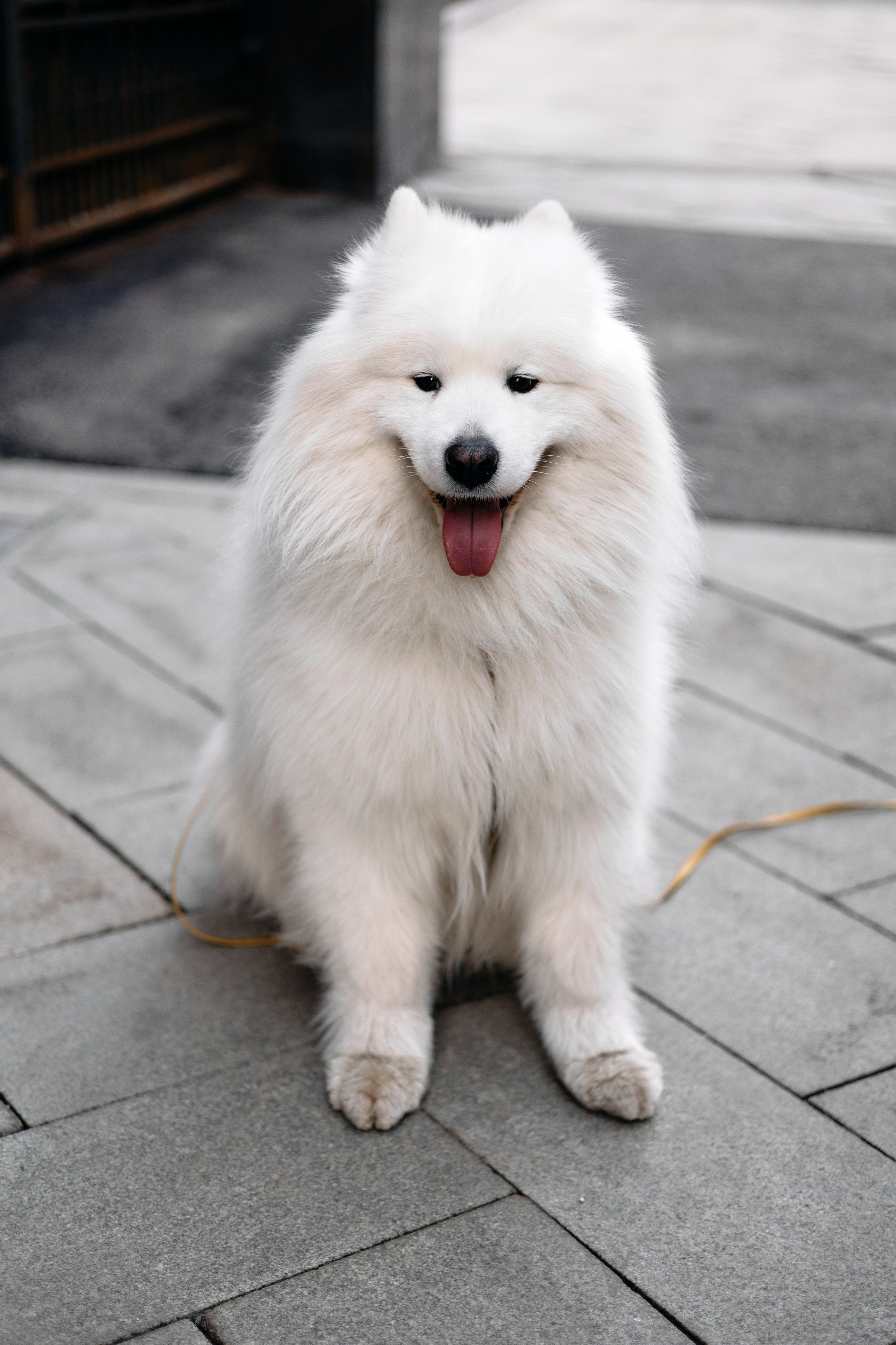 Ксюша. Ежова Милена | Фотограф Москва / Балашиха