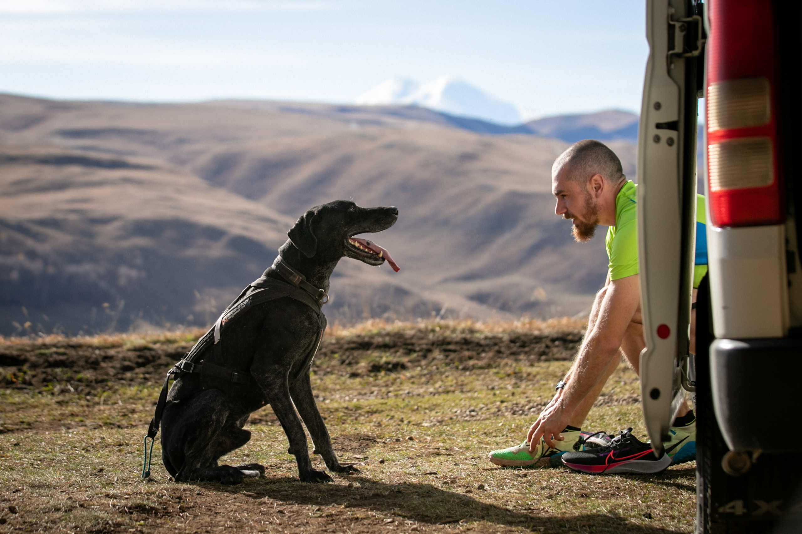 Фотограф Светлана Дмитриева