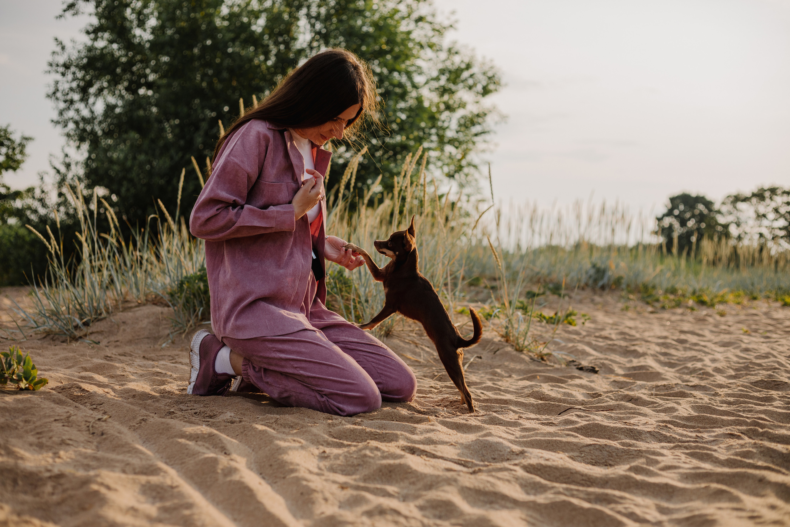 Собаки и их люди. Фотограф- анималист Санкт-Петербург