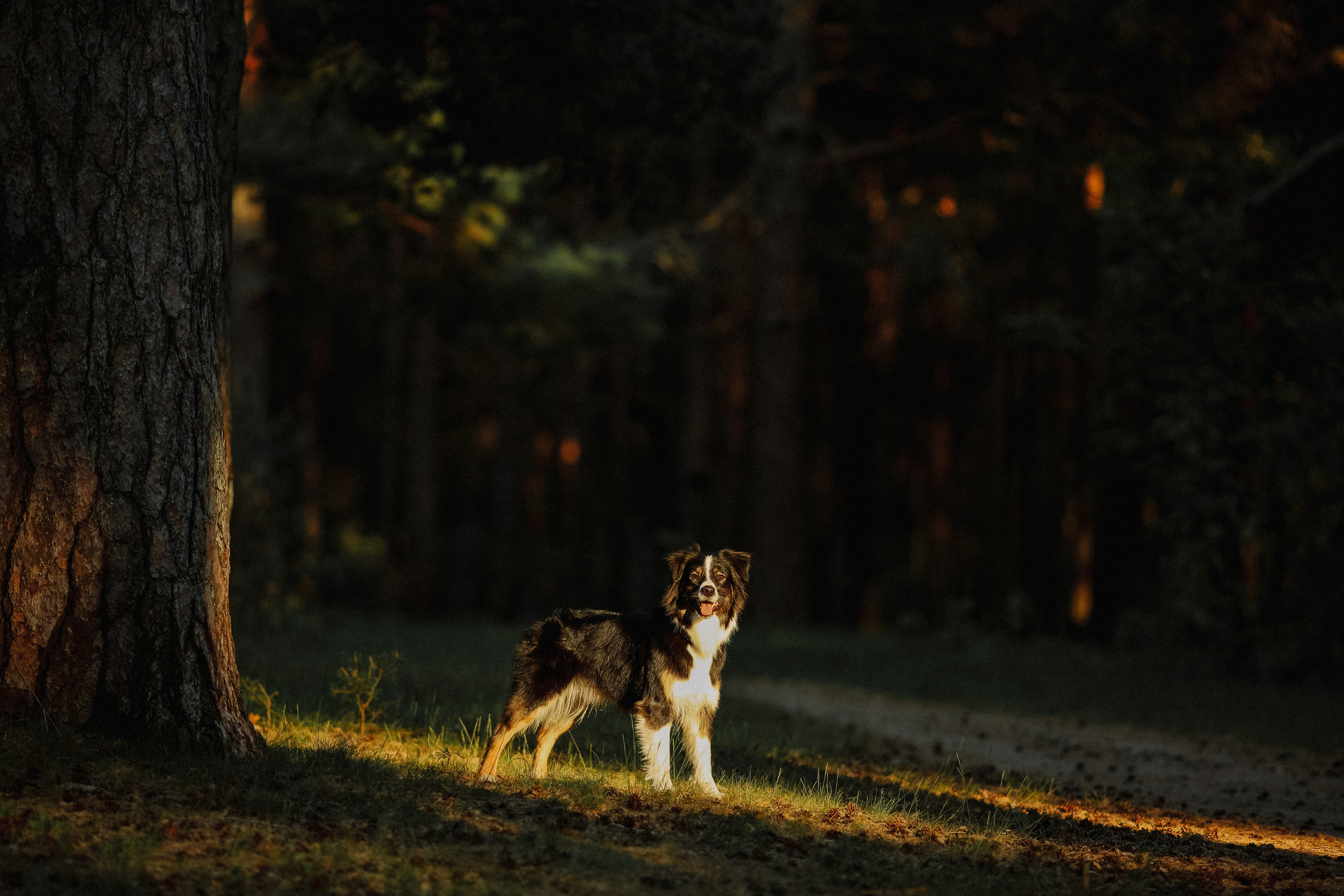 На природе. Фотограф- анималист Санкт-Петербург