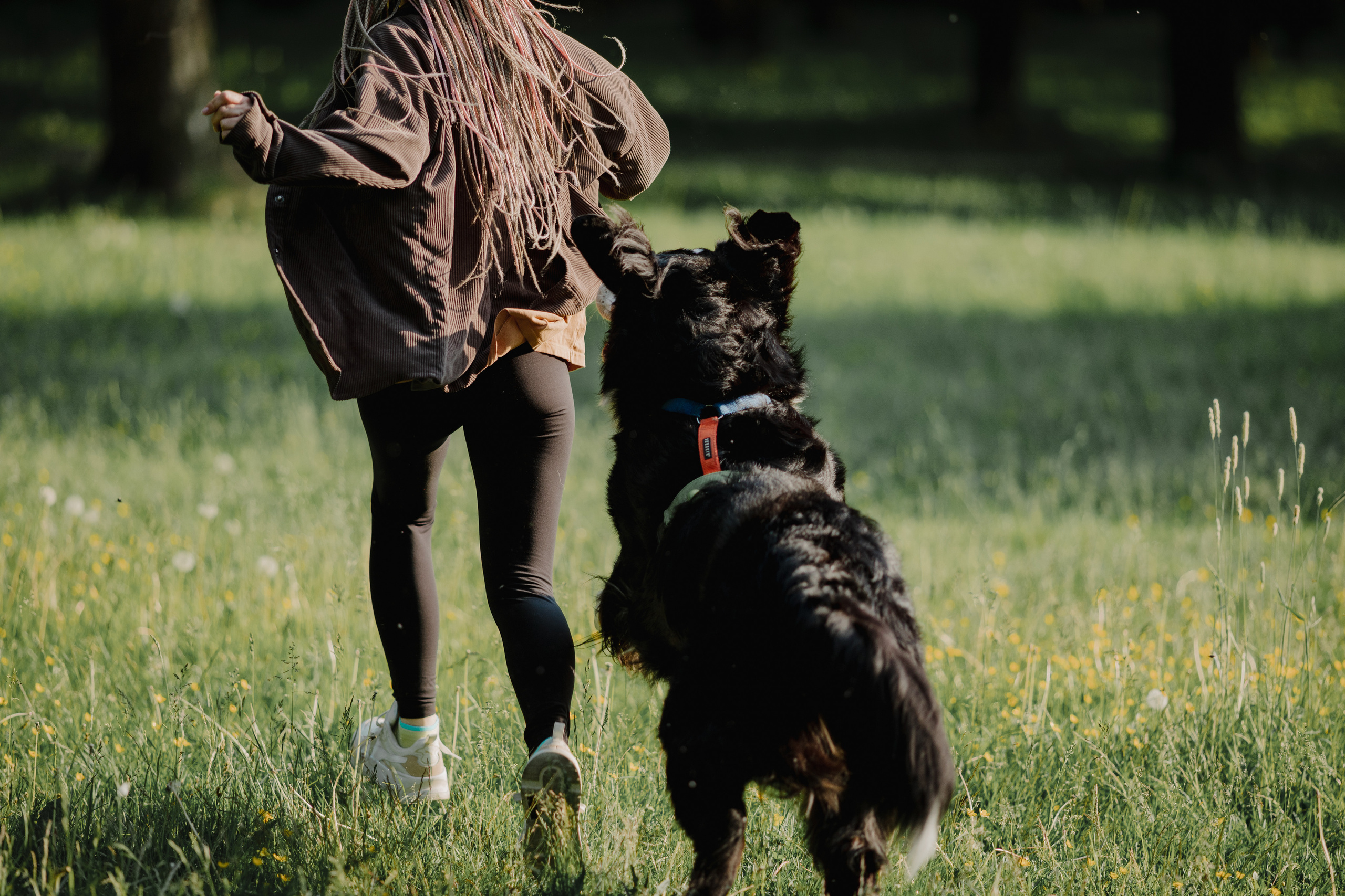 Собаки и их люди. Фотограф- анималист Санкт-Петербург