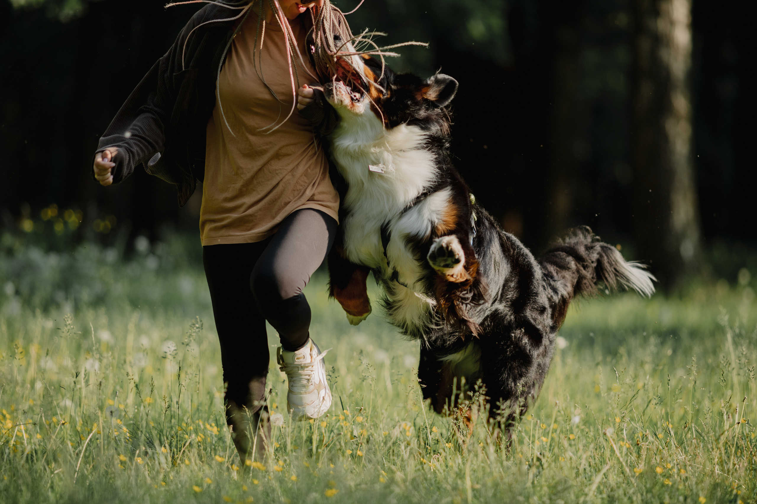 Собаки и их люди. Фотограф- анималист Санкт-Петербург