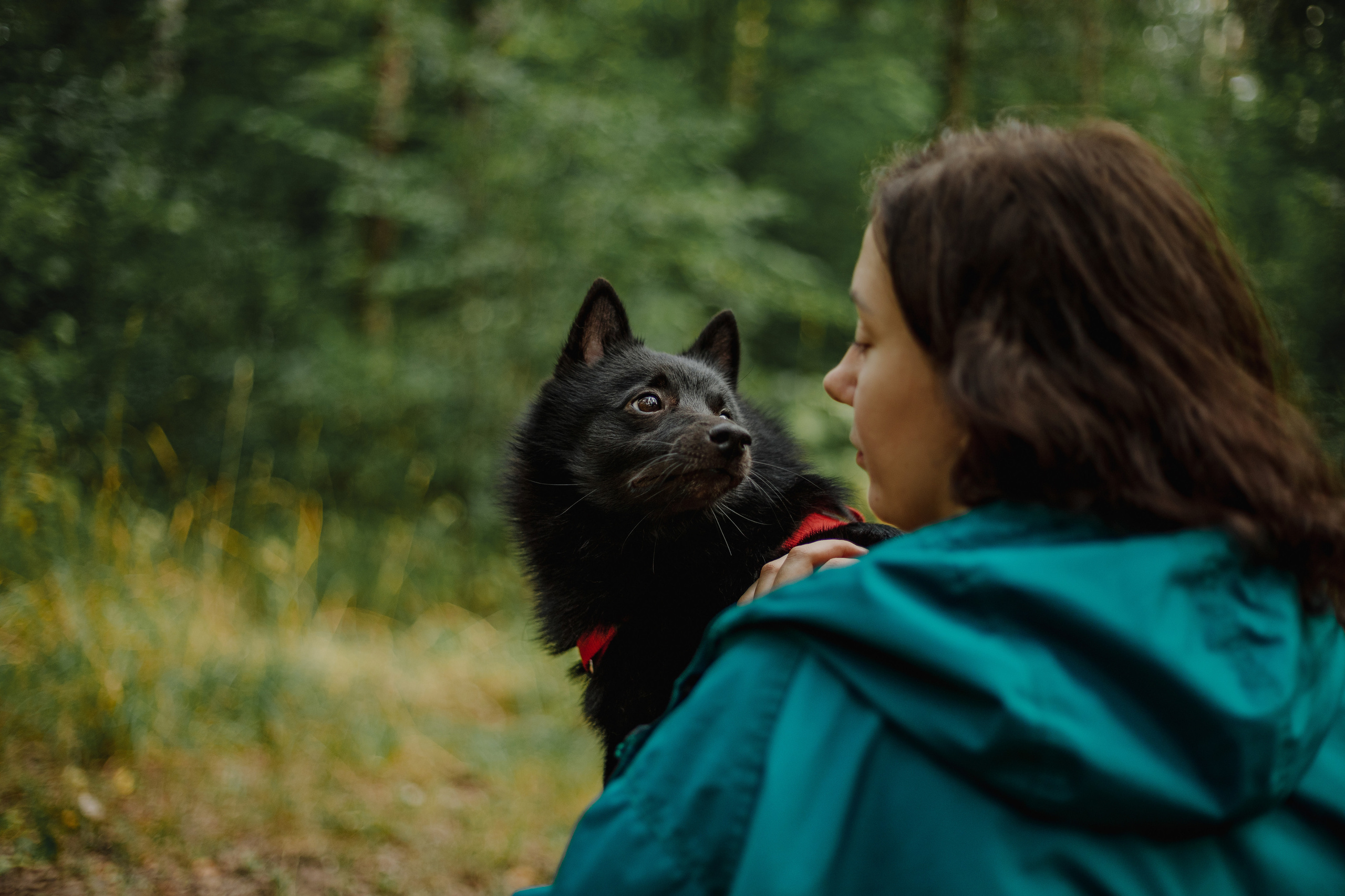 Собаки и их люди. Фотограф- анималист Санкт-Петербург