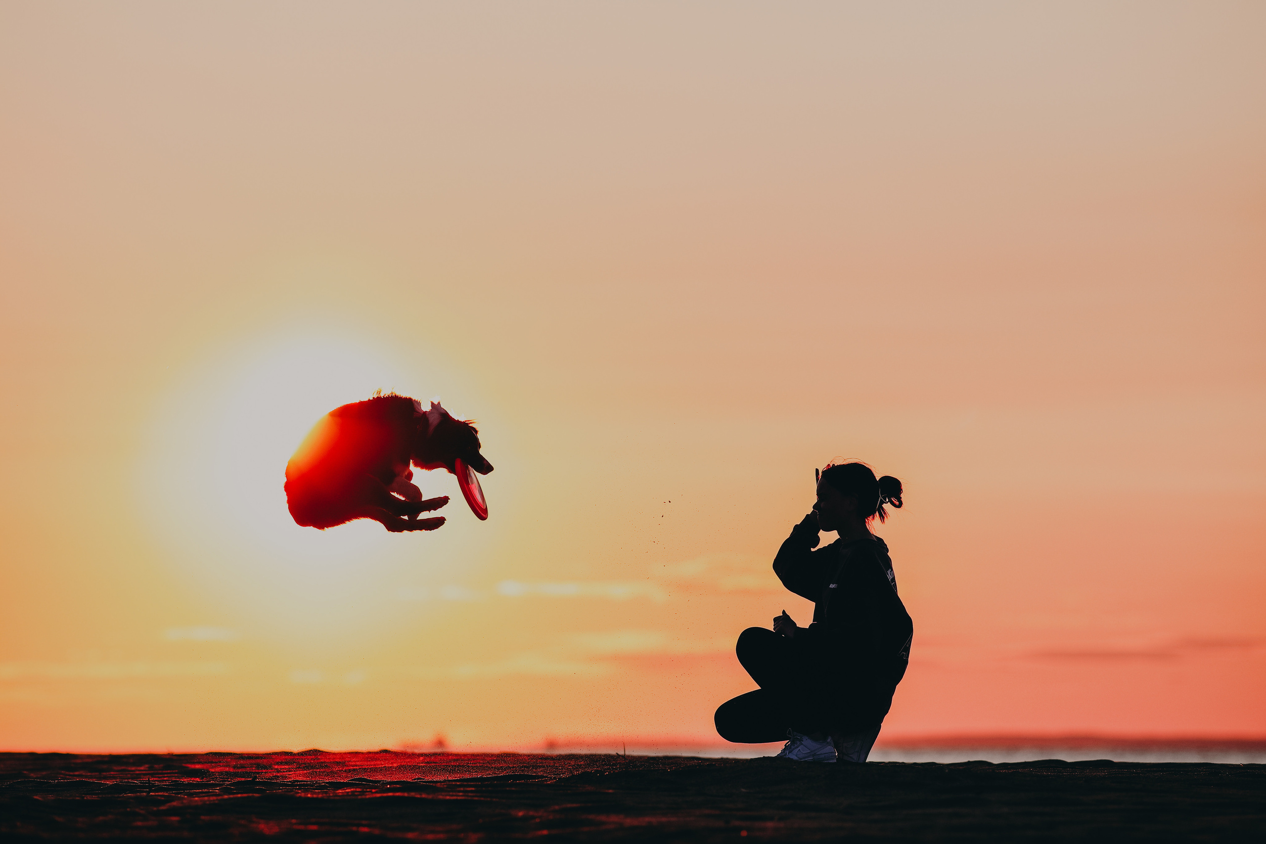 Собаки и их люди. Фотограф- анималист Санкт-Петербург