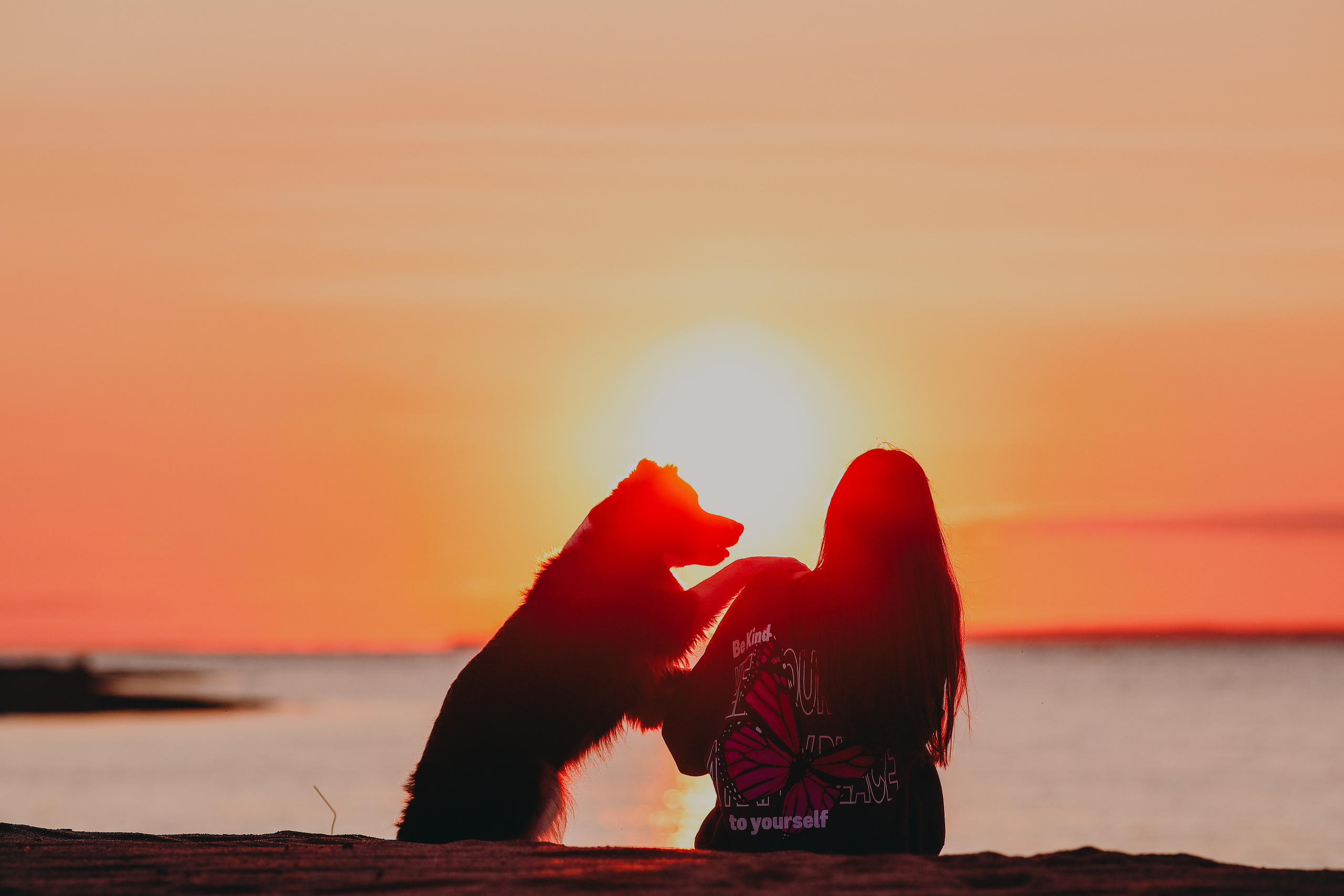 Собаки и их люди. Фотограф- анималист Санкт-Петербург