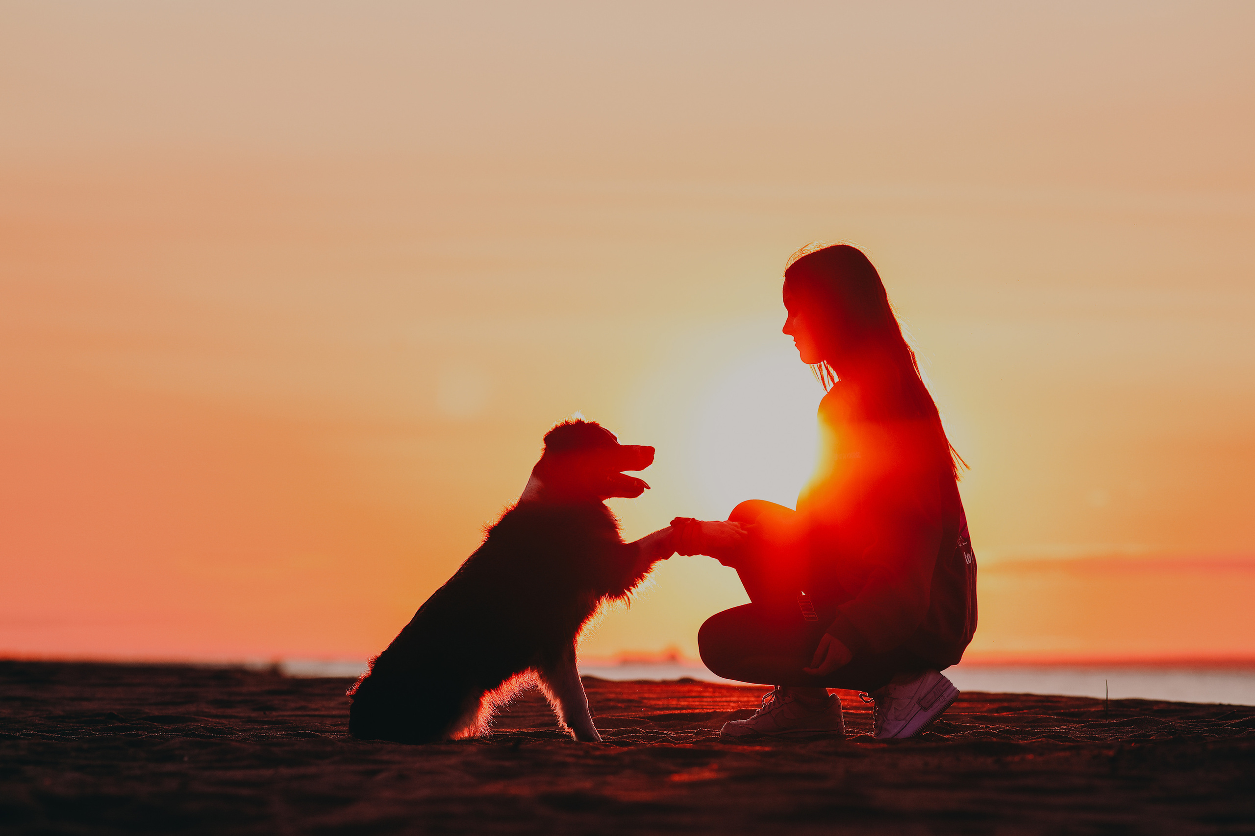 Собаки и их люди. Фотограф- анималист Санкт-Петербург