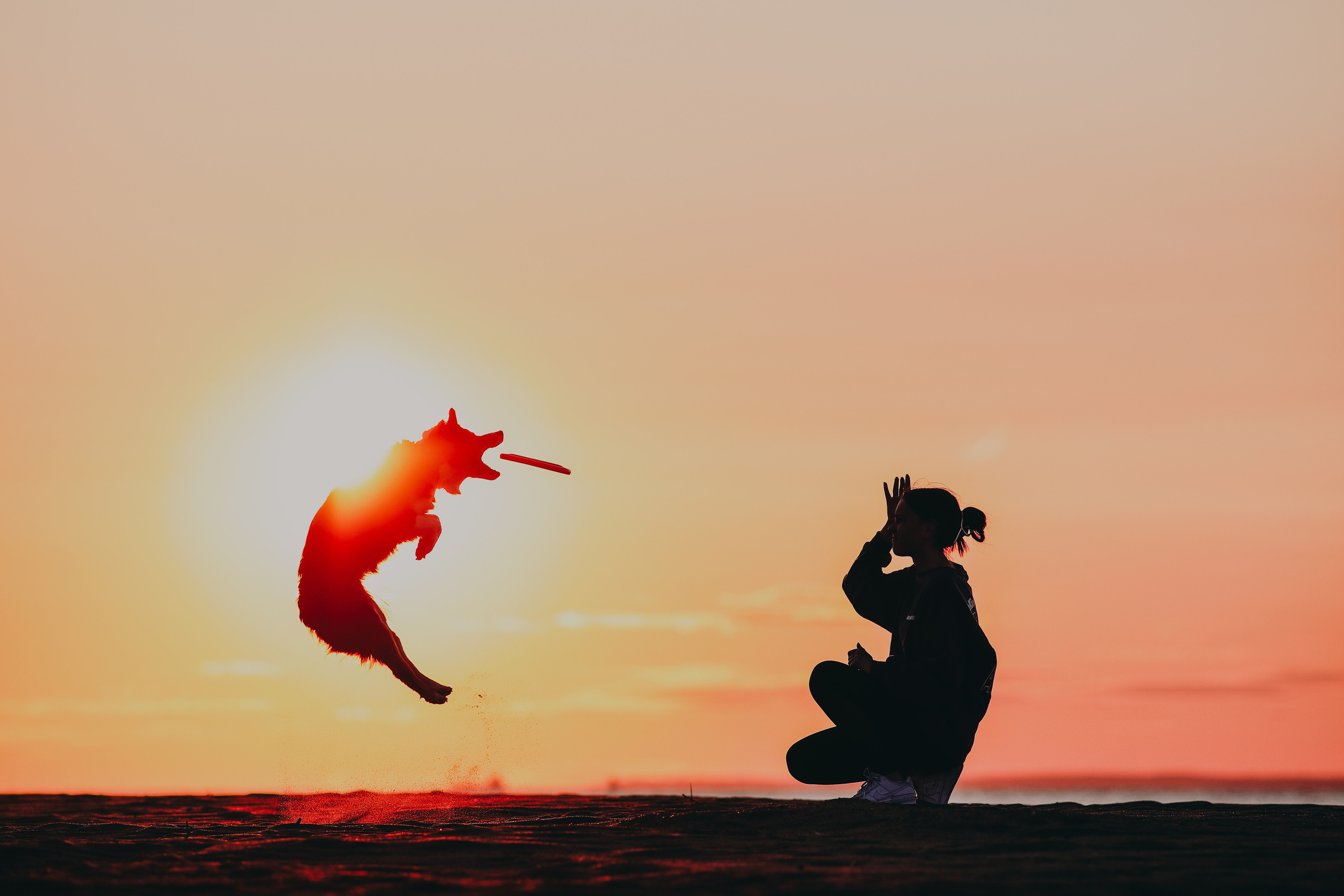 Собаки и их люди. Фотограф- анималист Санкт-Петербург