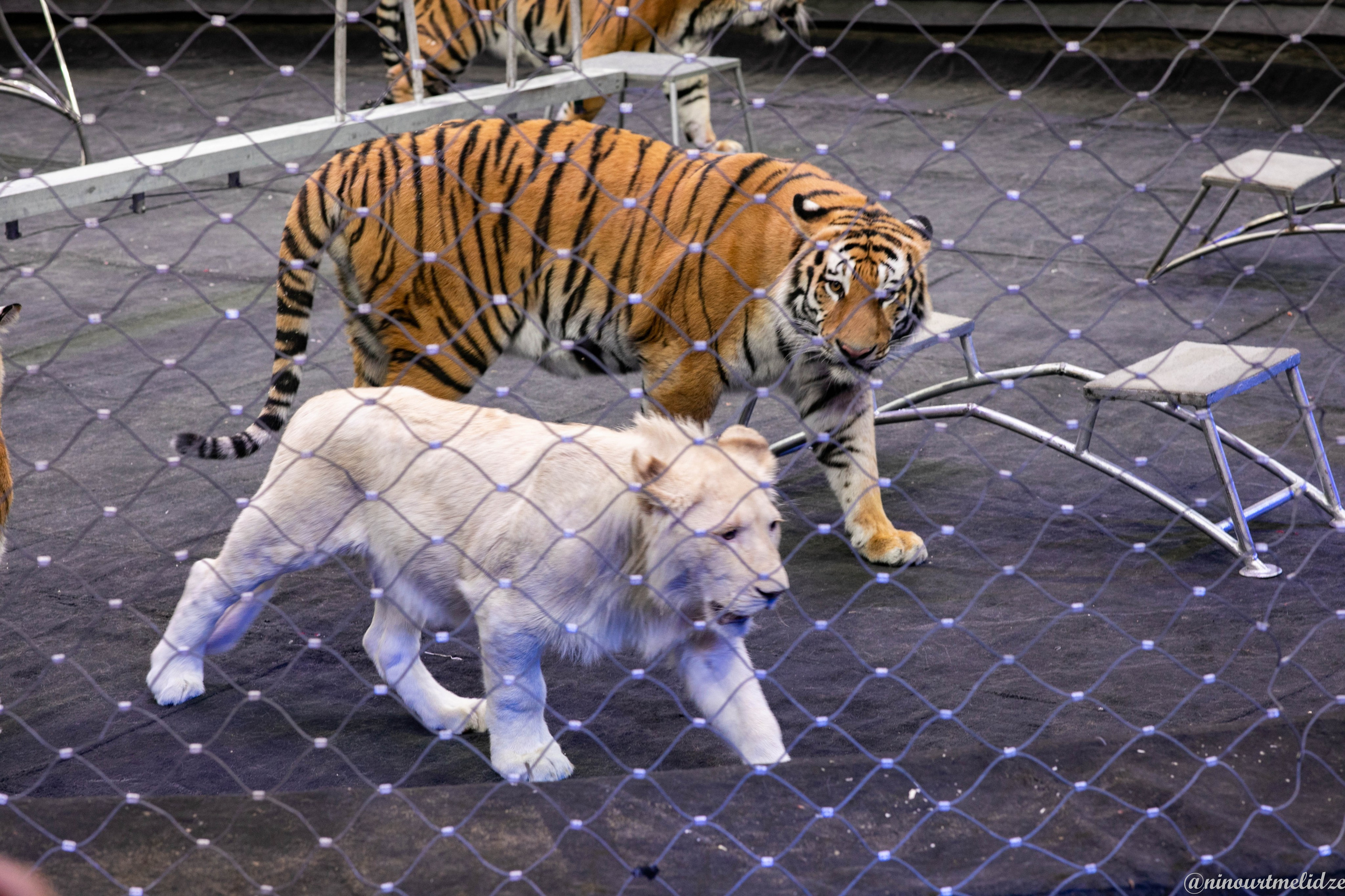 В закулисье у братьев Запашных. Art photographer Nino