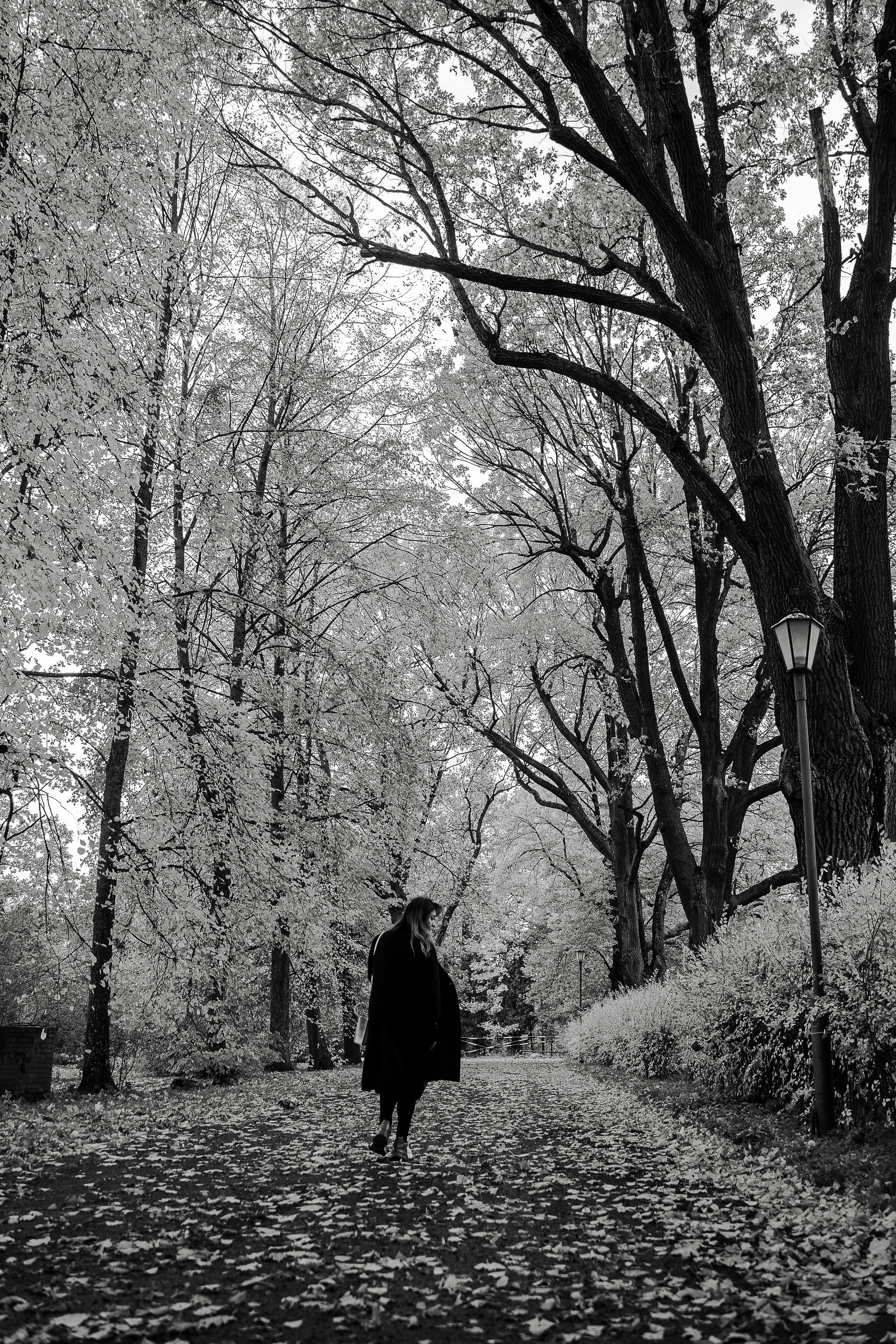 Тяньи. Свадебный и семейный фотограф в Пушкине и Санкт-Петербурге Мария Филиппова