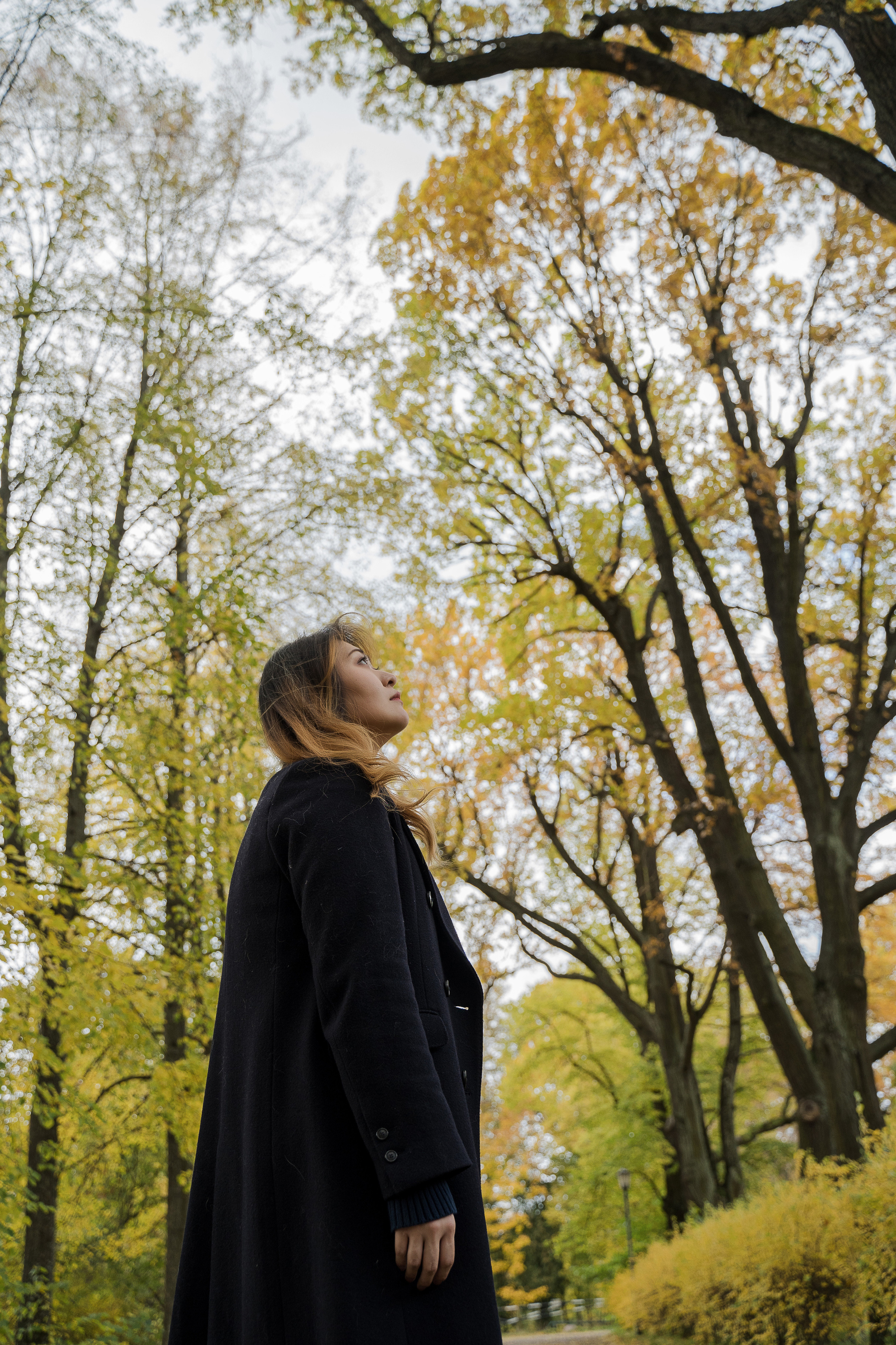 Тяньи. Свадебный и семейный фотограф в Пушкине и Санкт-Петербурге Мария Филиппова