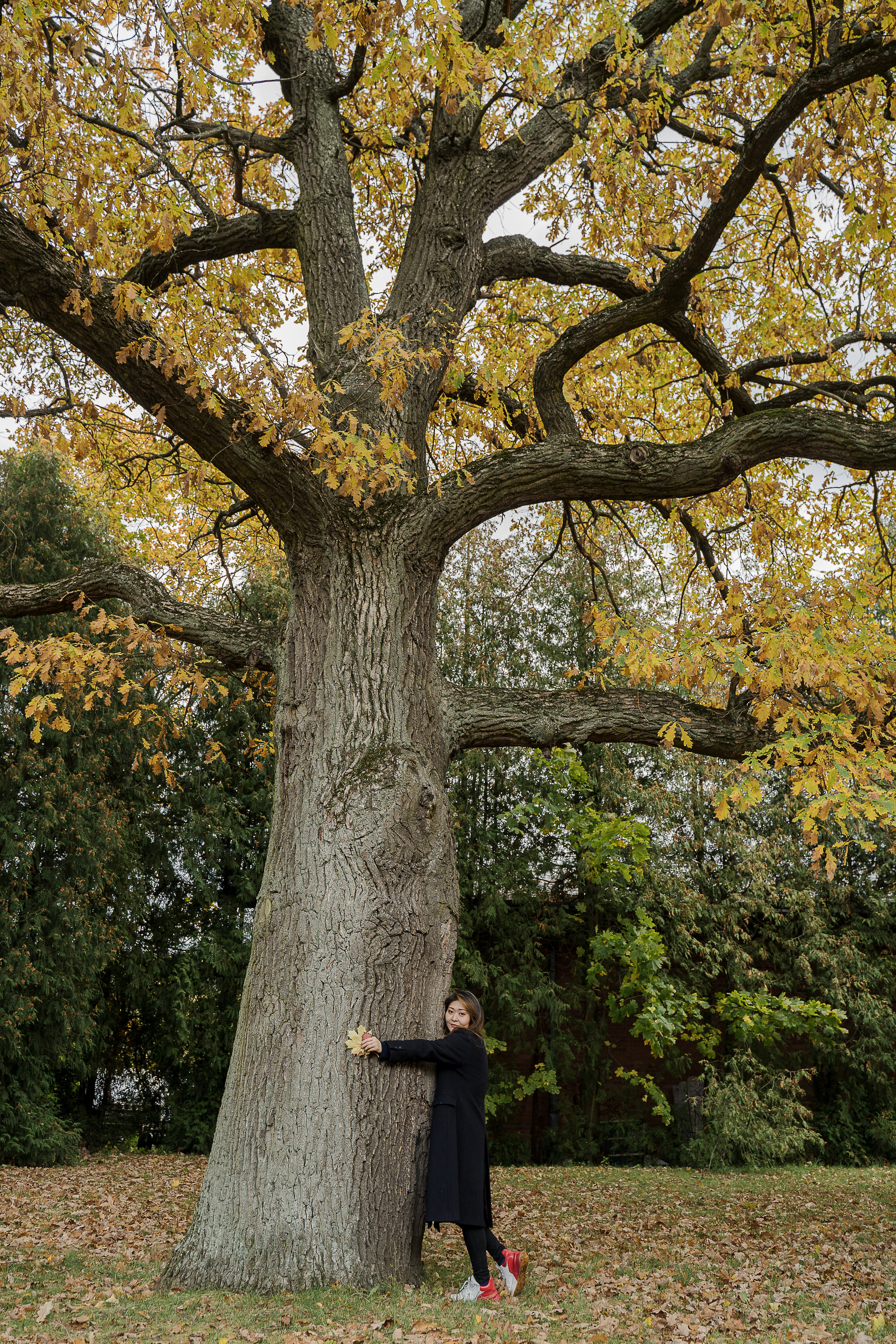 Тяньи. Свадебный и семейный фотограф в Пушкине и Санкт-Петербурге Мария Филиппова
