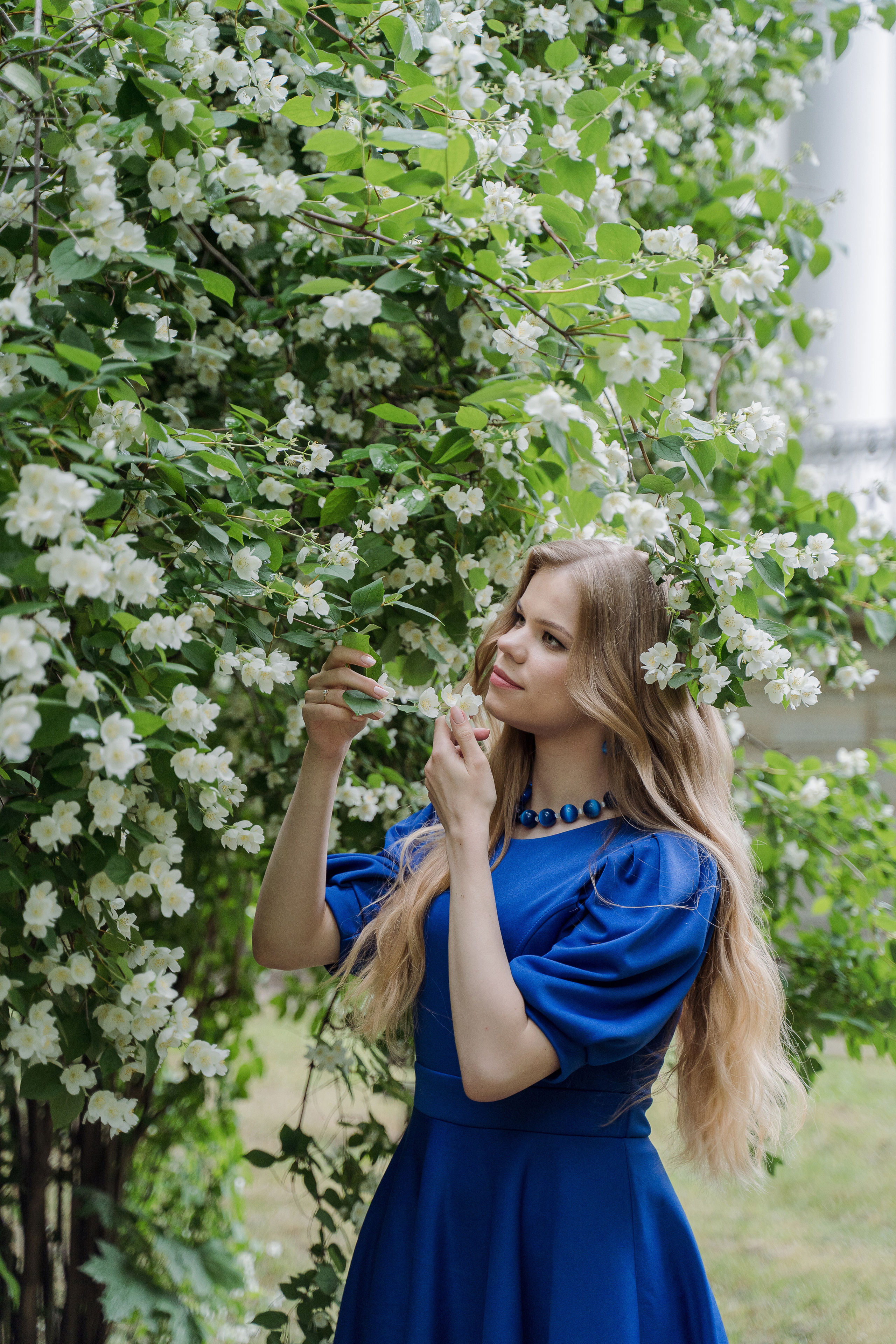 Прогулка по Елагину острову. Свадебный и семейный фотограф в Пушкине и Санкт-Петербурге Мария Филиппова