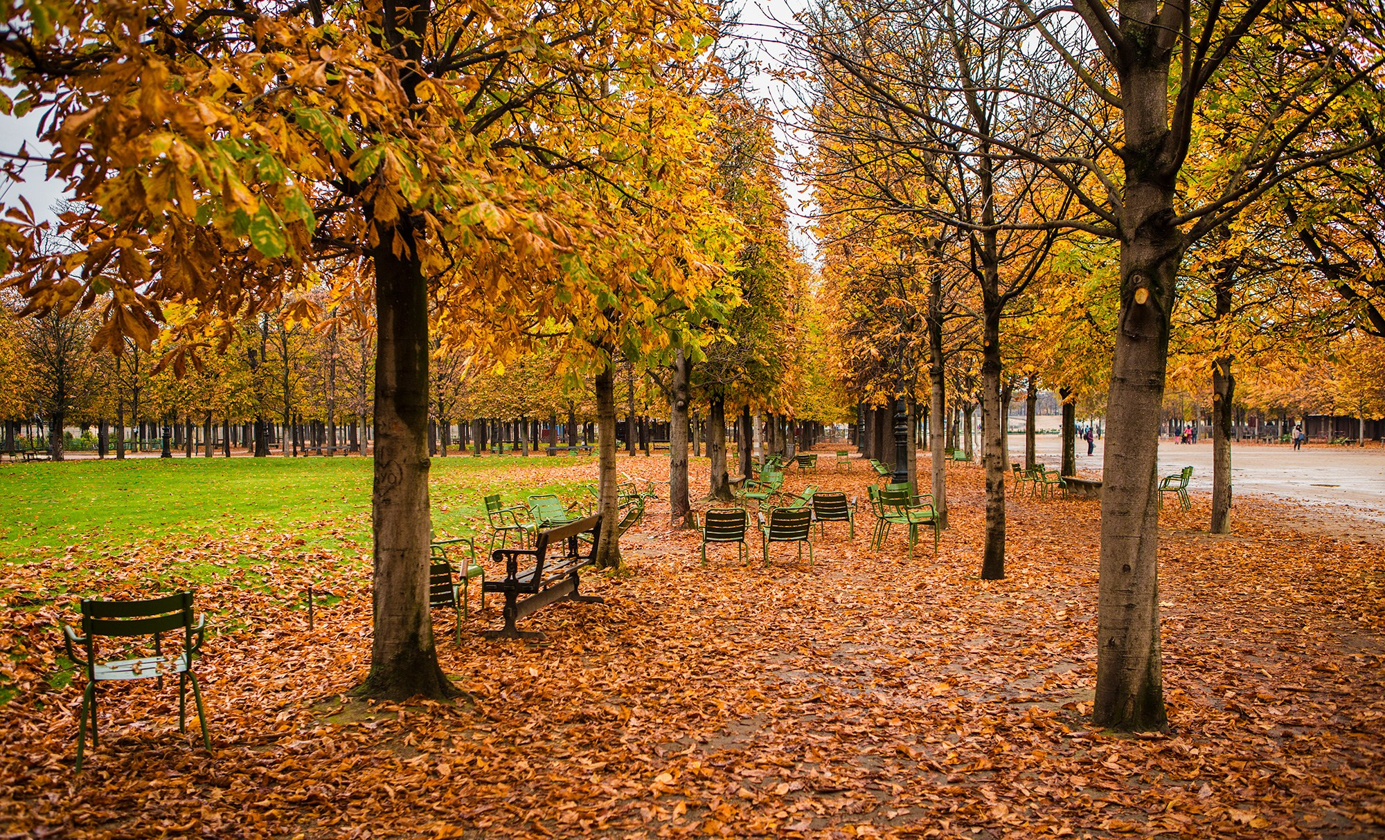 Париж, Франция. Фотограф Владимир Остапенко