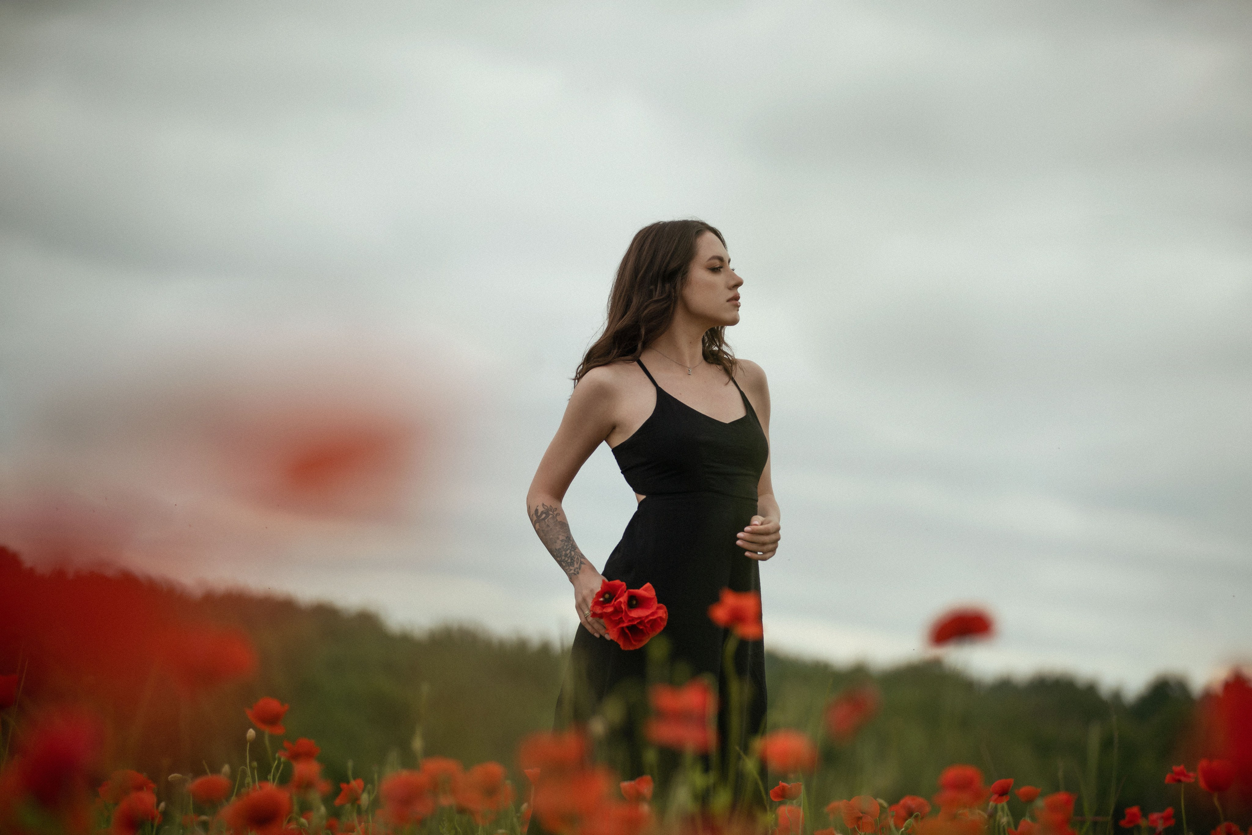 Маковое поле. Фотохудожник из города Пскова