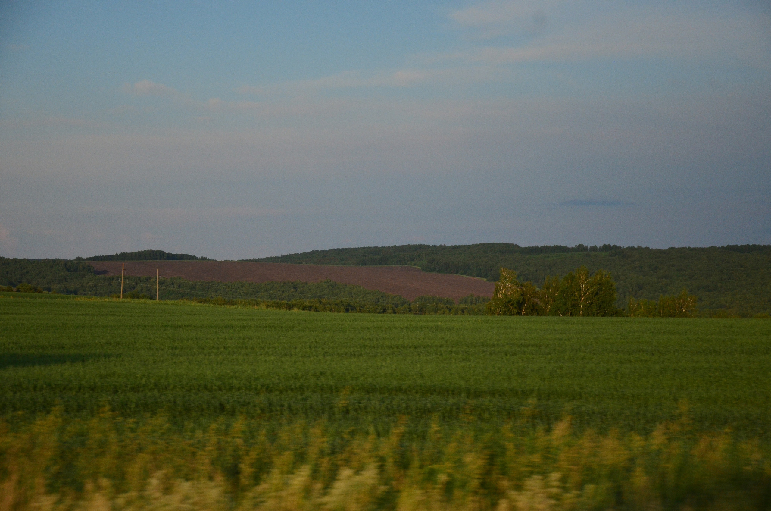Дары природы. Фотограф viktor viktor
