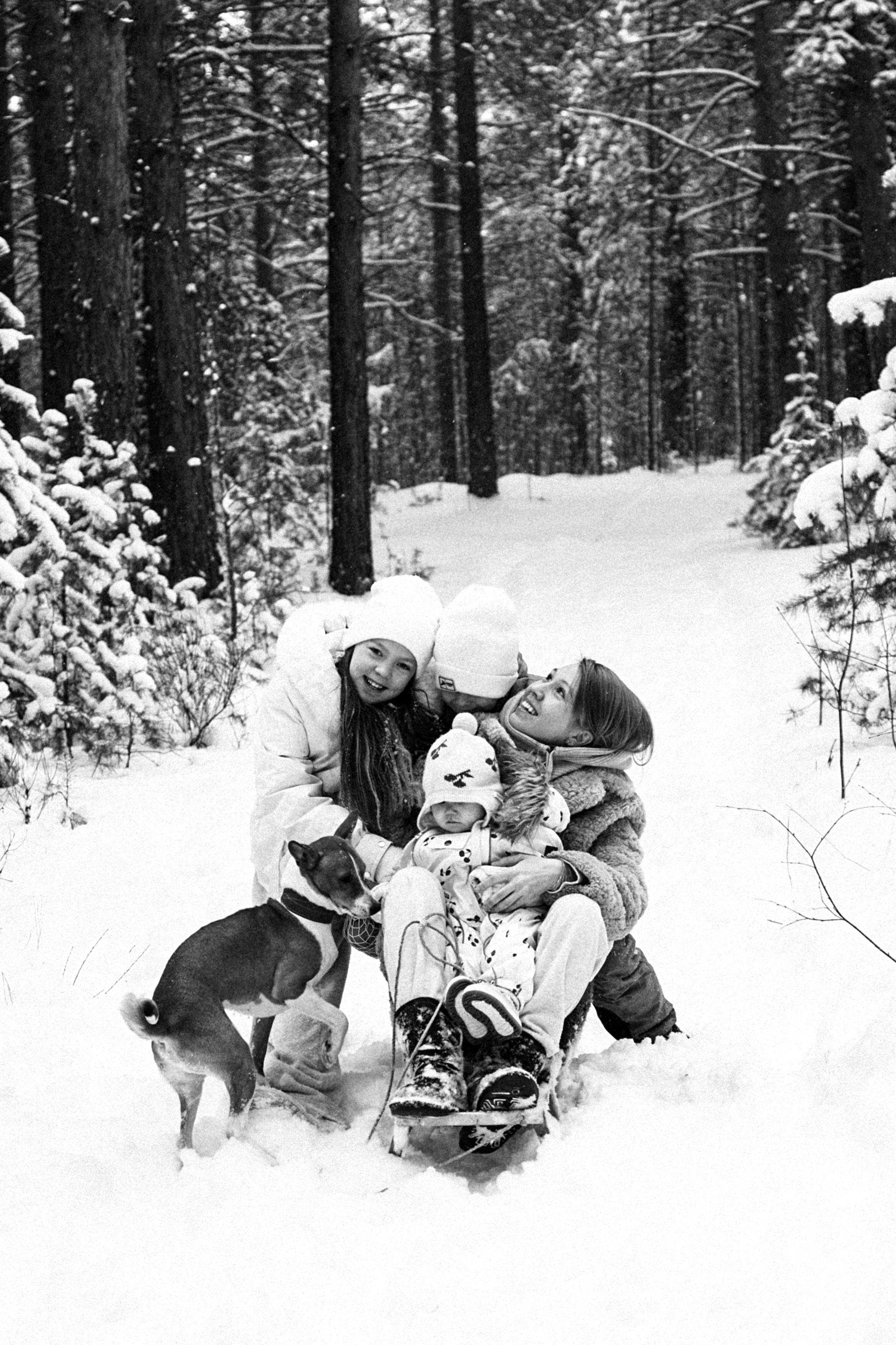 Семья Куркиных | 2026