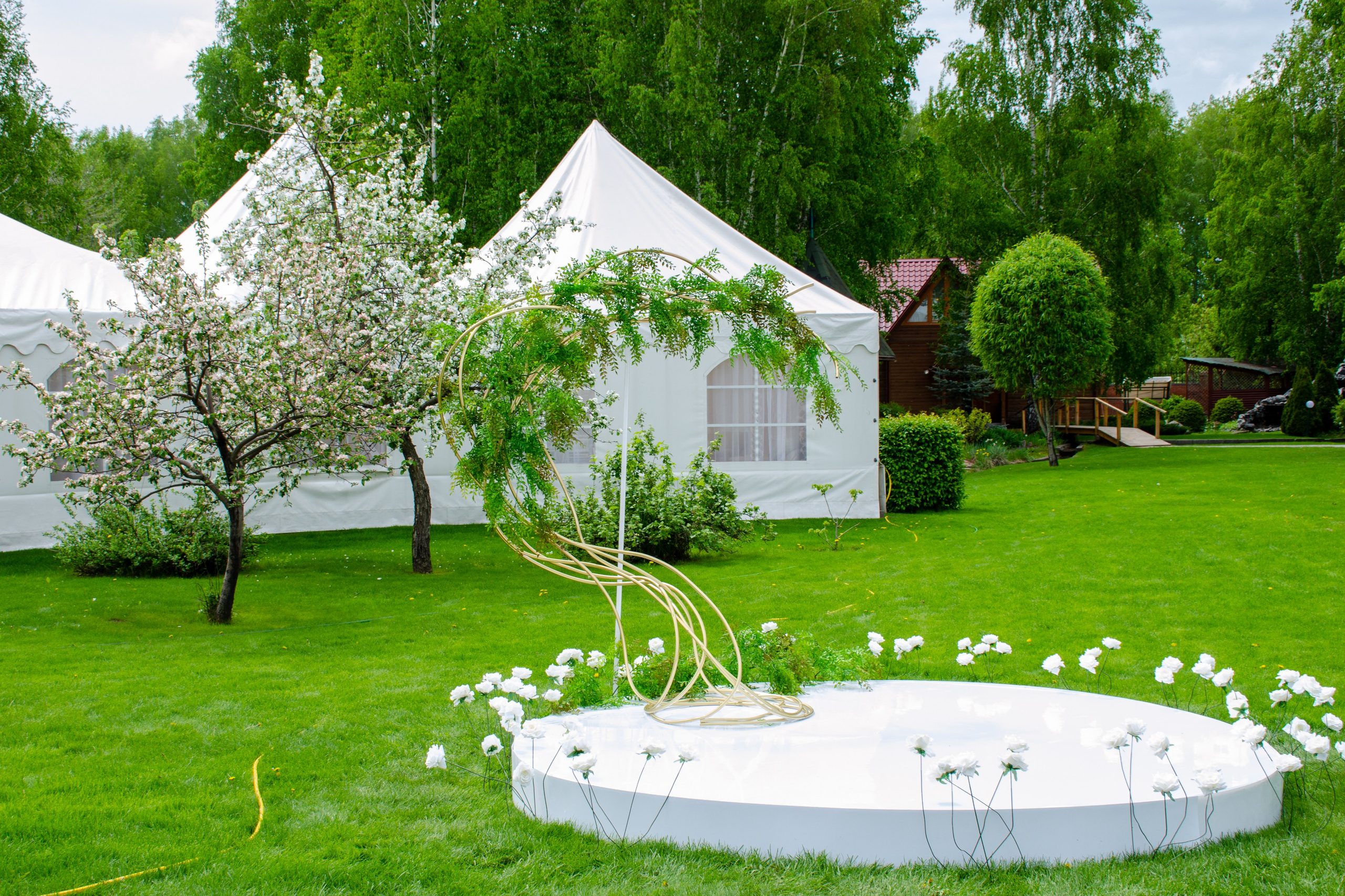 Сагиттариус. Фотограф Универсал в Новосибирске