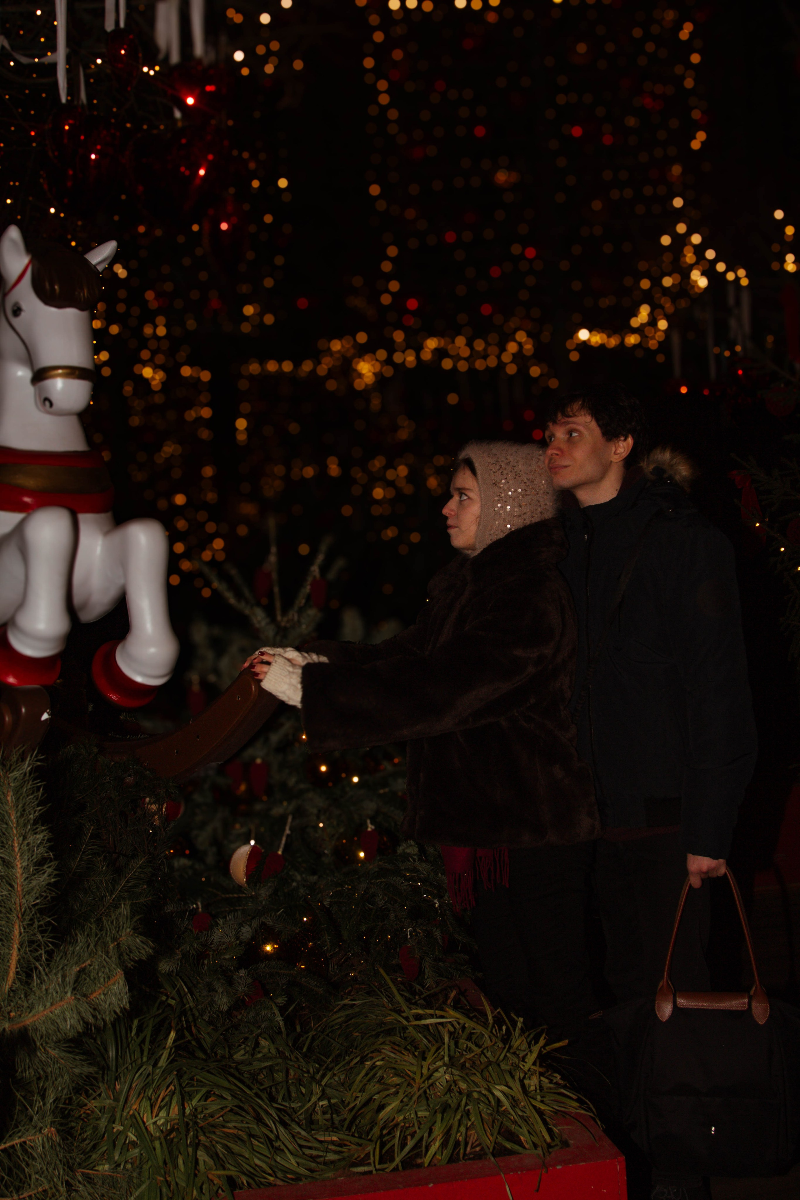 Новогодняя фотоссесия Екатерины. Ладно