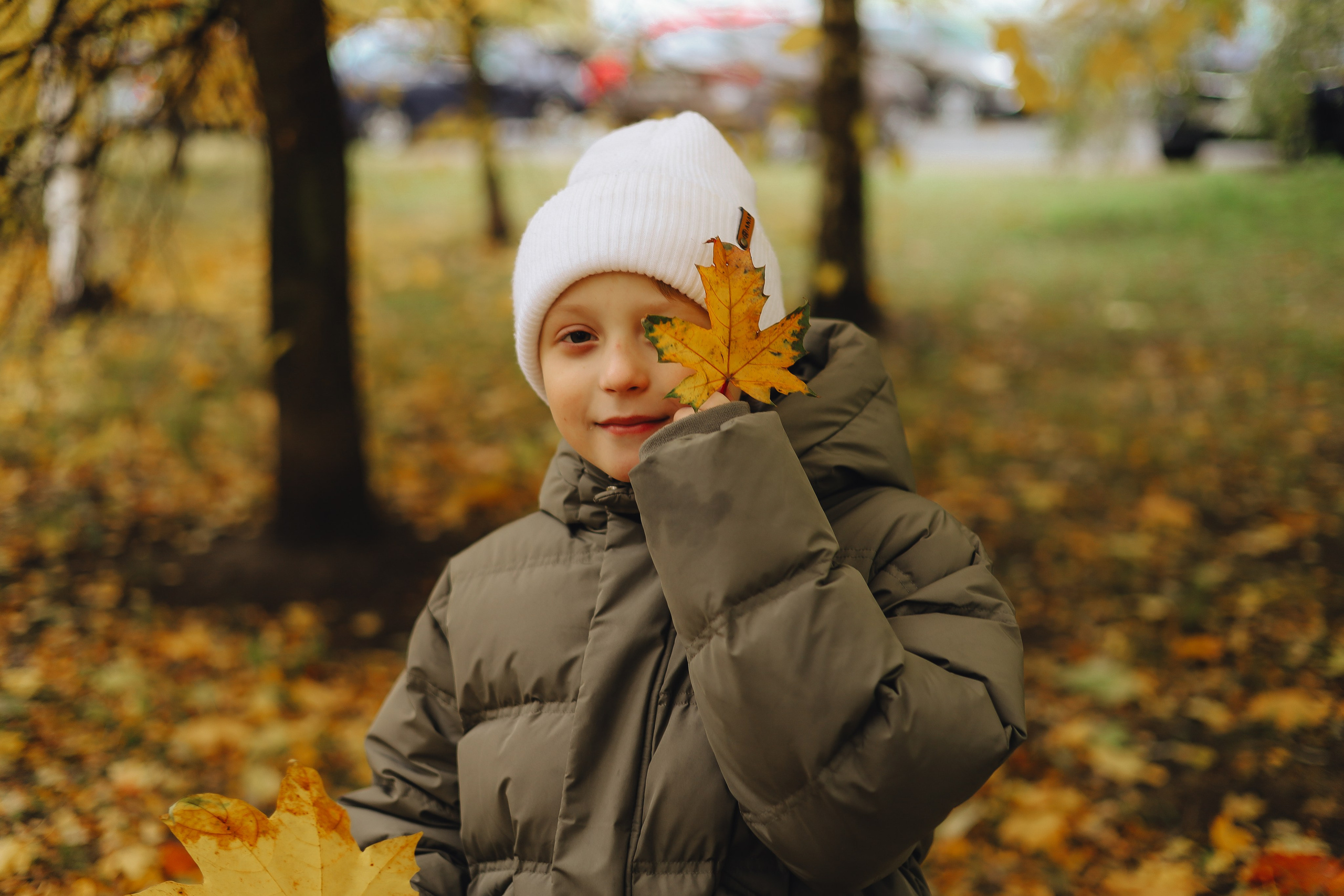 Осенние зарисовки