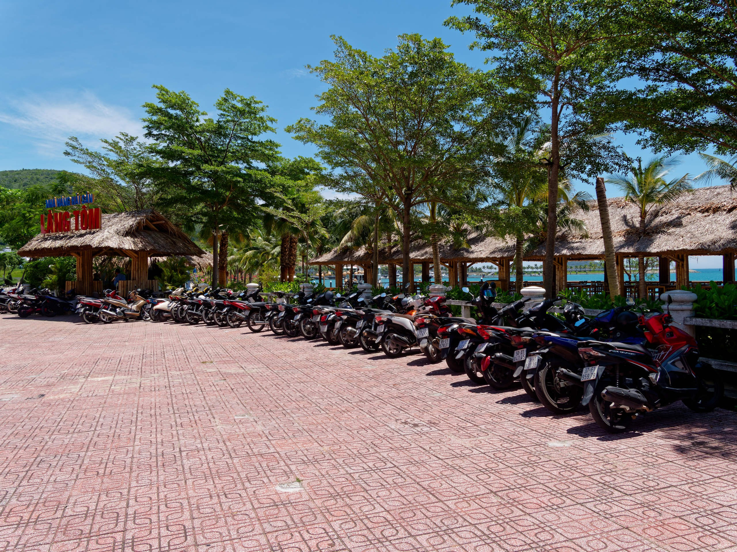 Нячанг 2025 (3). Избранные фотографии