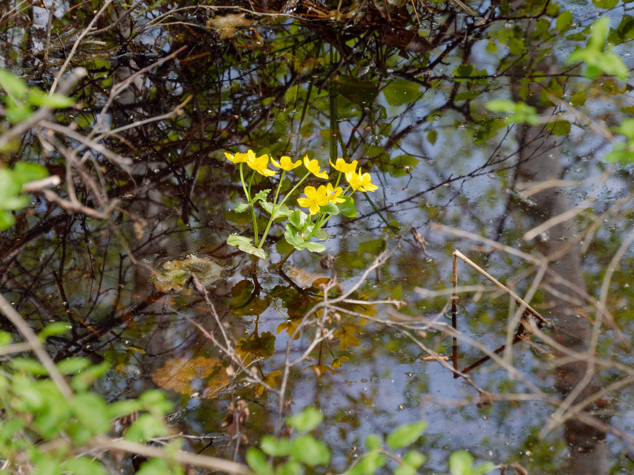 Боровое 2024 (из архива). Избранные фотографии