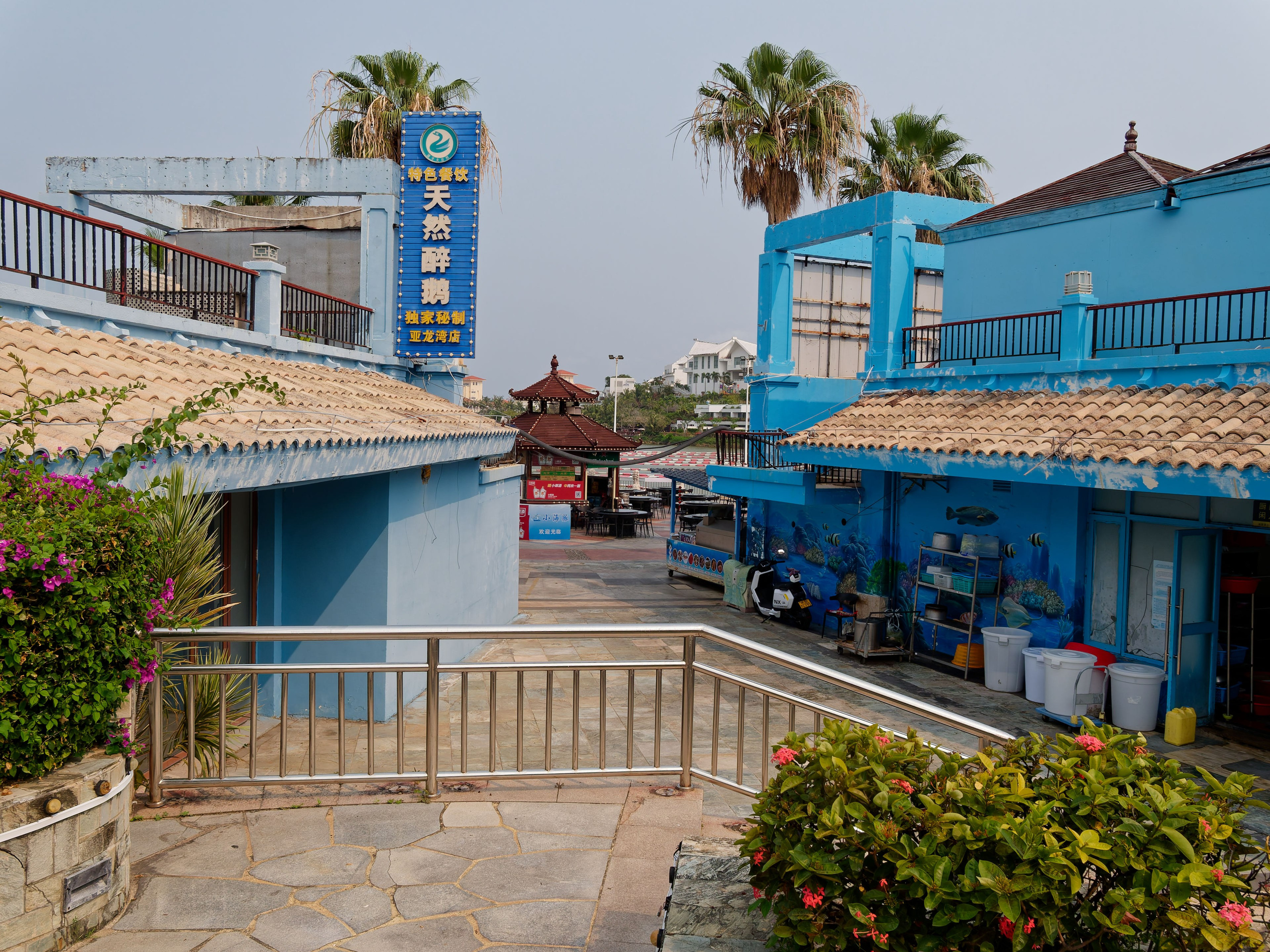 Хайнань 2026, первые впечатления. Фотопрогулки по Миру