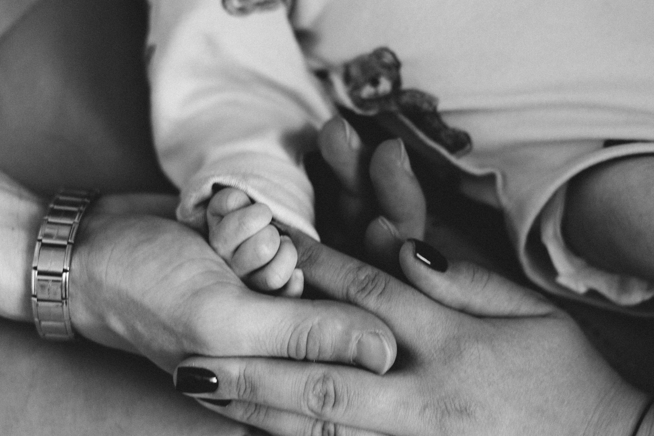 Семейная. Семейный фотограф