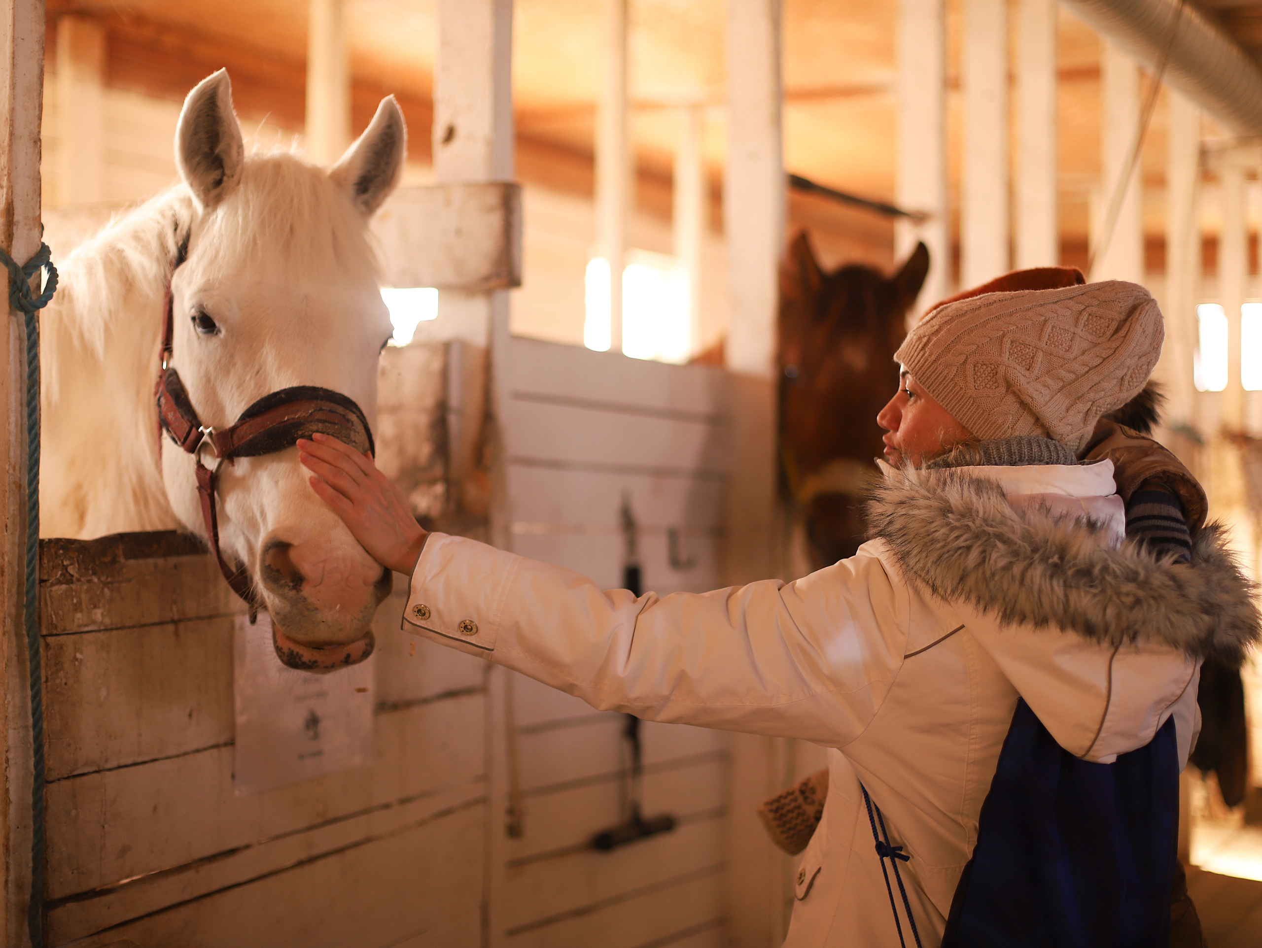 Лама. Семейный фотограф в Санкт-Петербурге Ирина Иванова