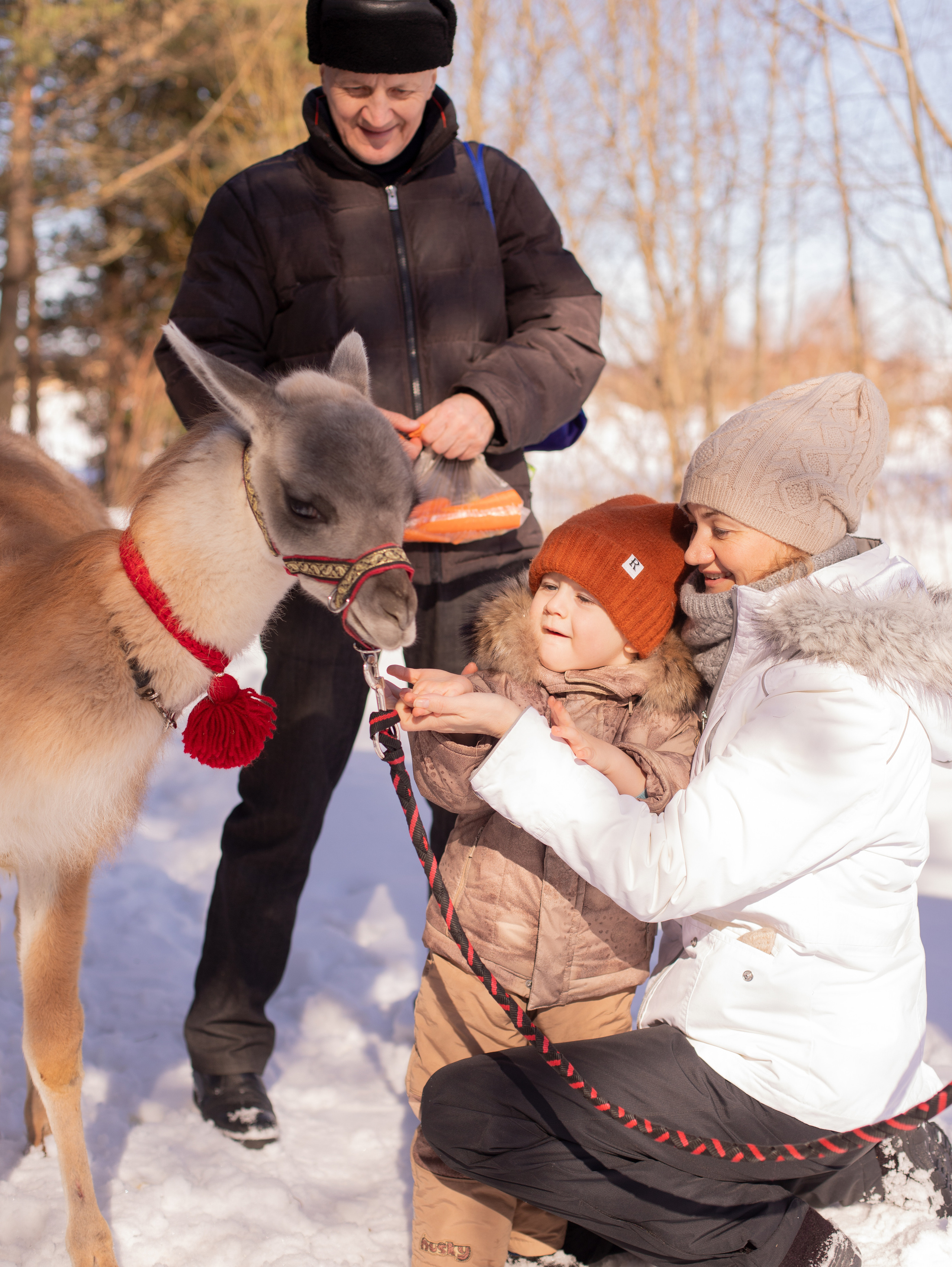 Лама. Семейный фотограф в Санкт-Петербурге Ирина Иванова