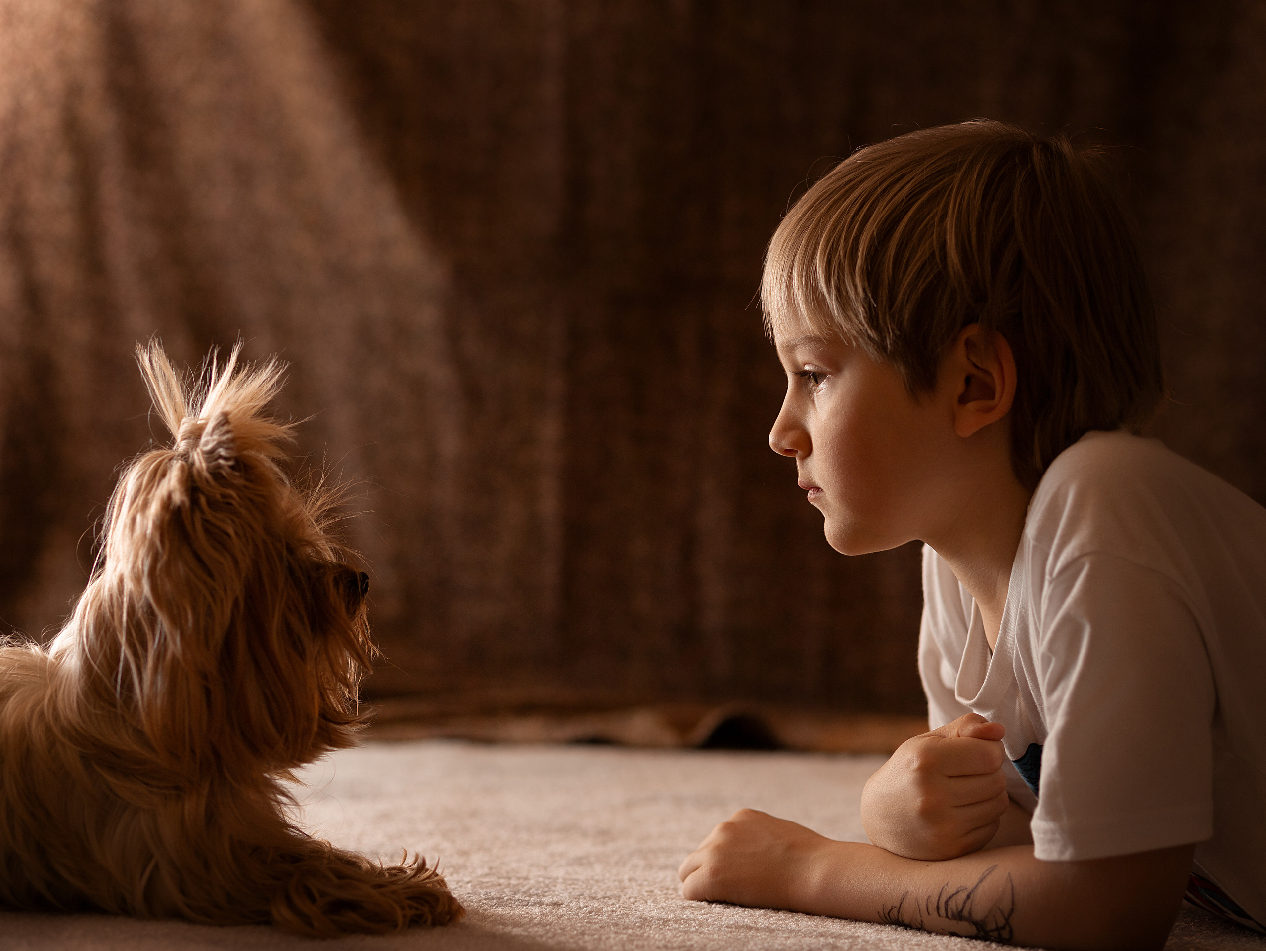 Братаны. Семейный фотограф в Санкт-Петербурге Ирина Иванова