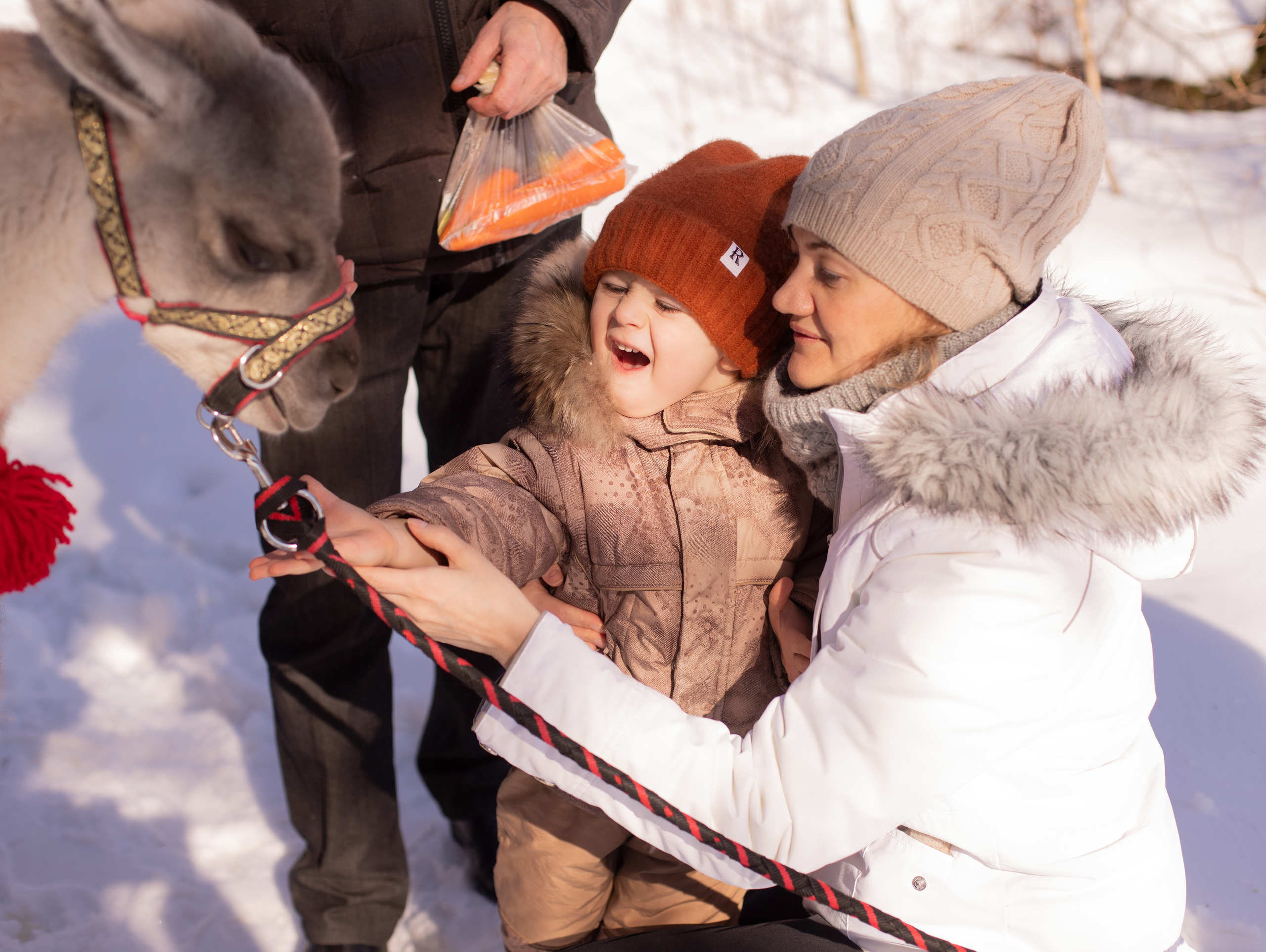 Лама. Семейный фотограф в Санкт-Петербурге Ирина Иванова
