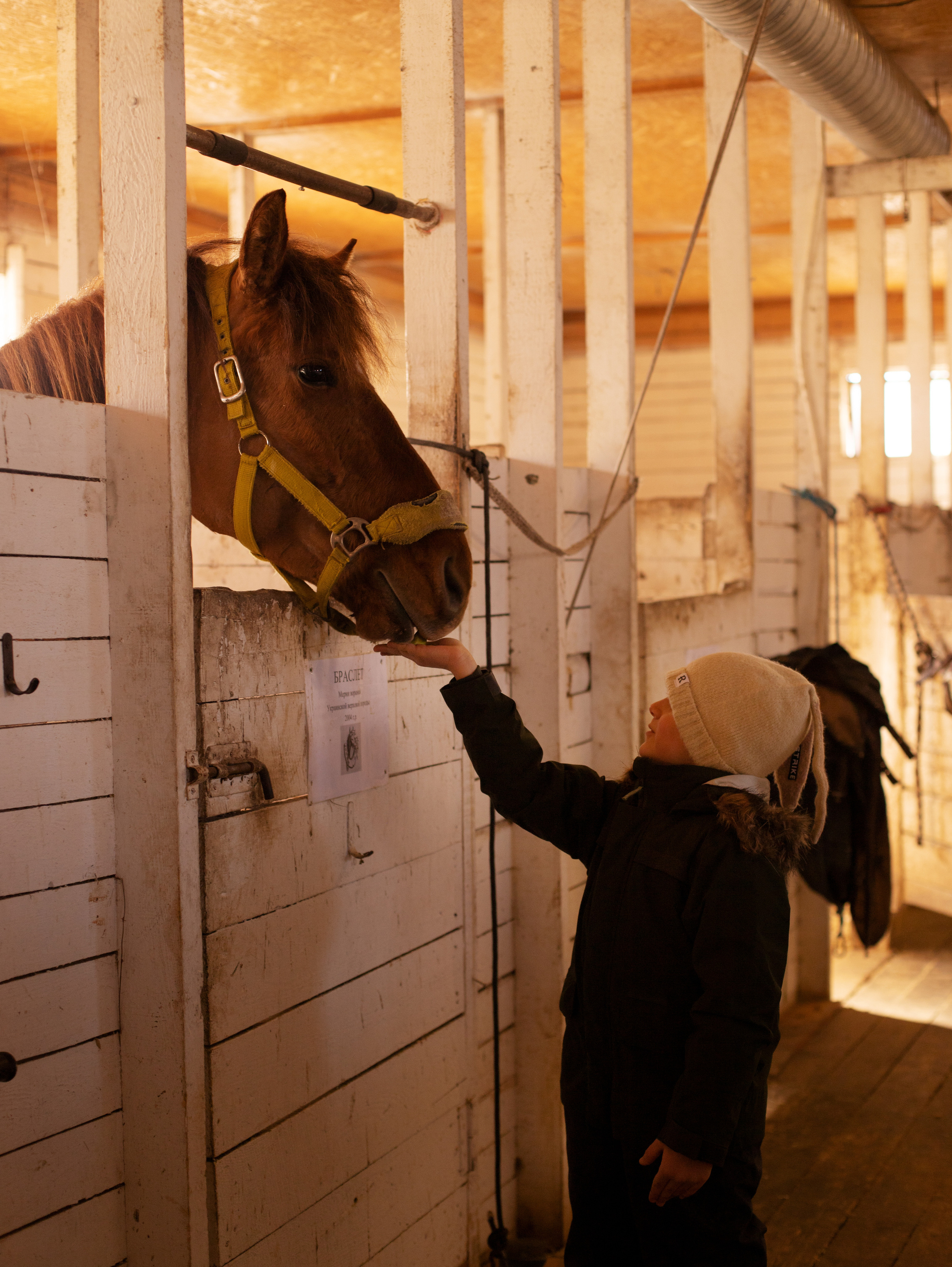 Лама. Семейный фотограф в Санкт-Петербурге Ирина Иванова