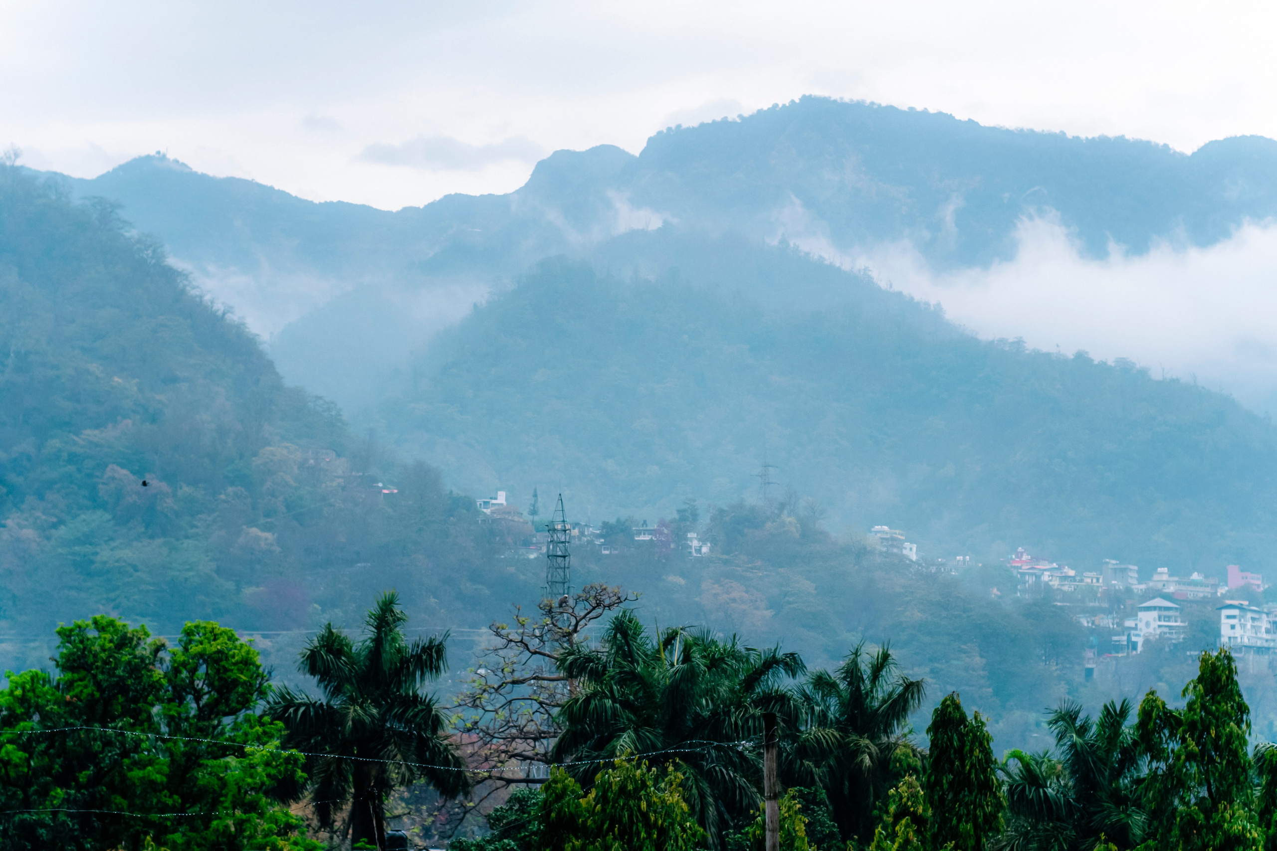 Ришикеш стрит. Iraogo