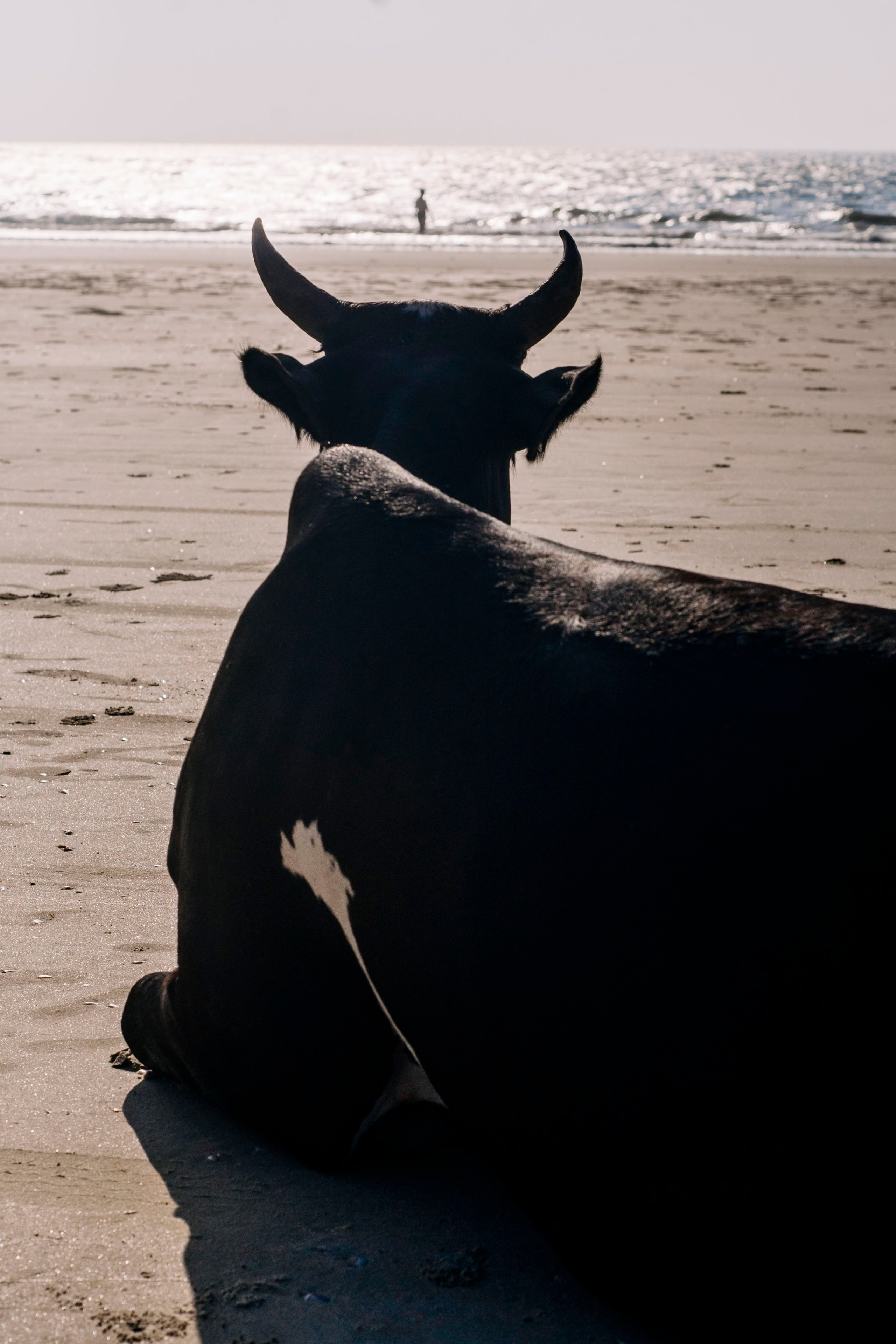 Гоа. индия. Iraogo