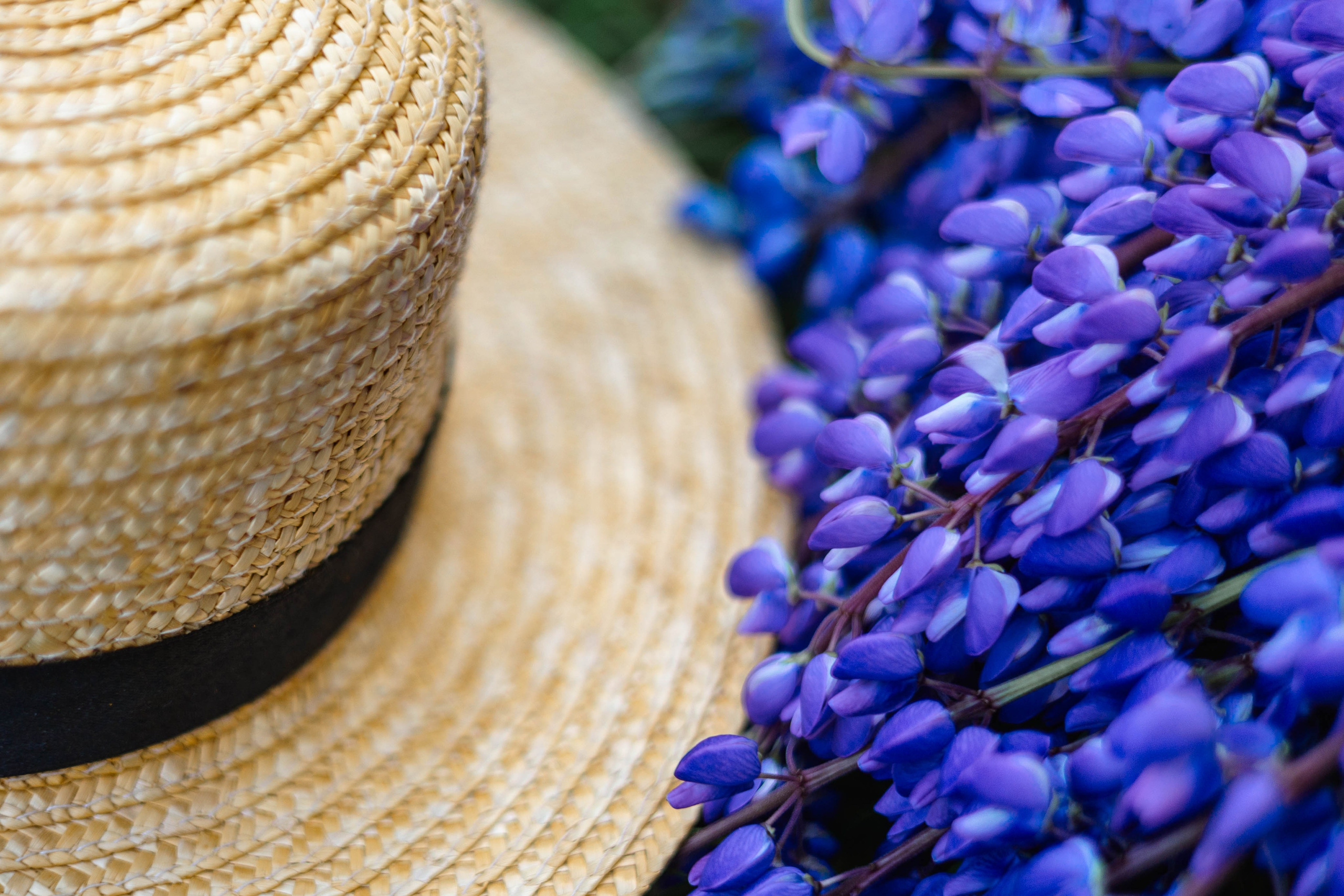 Ольга. Женский и семейный фотограф в Москве Никулина Алена