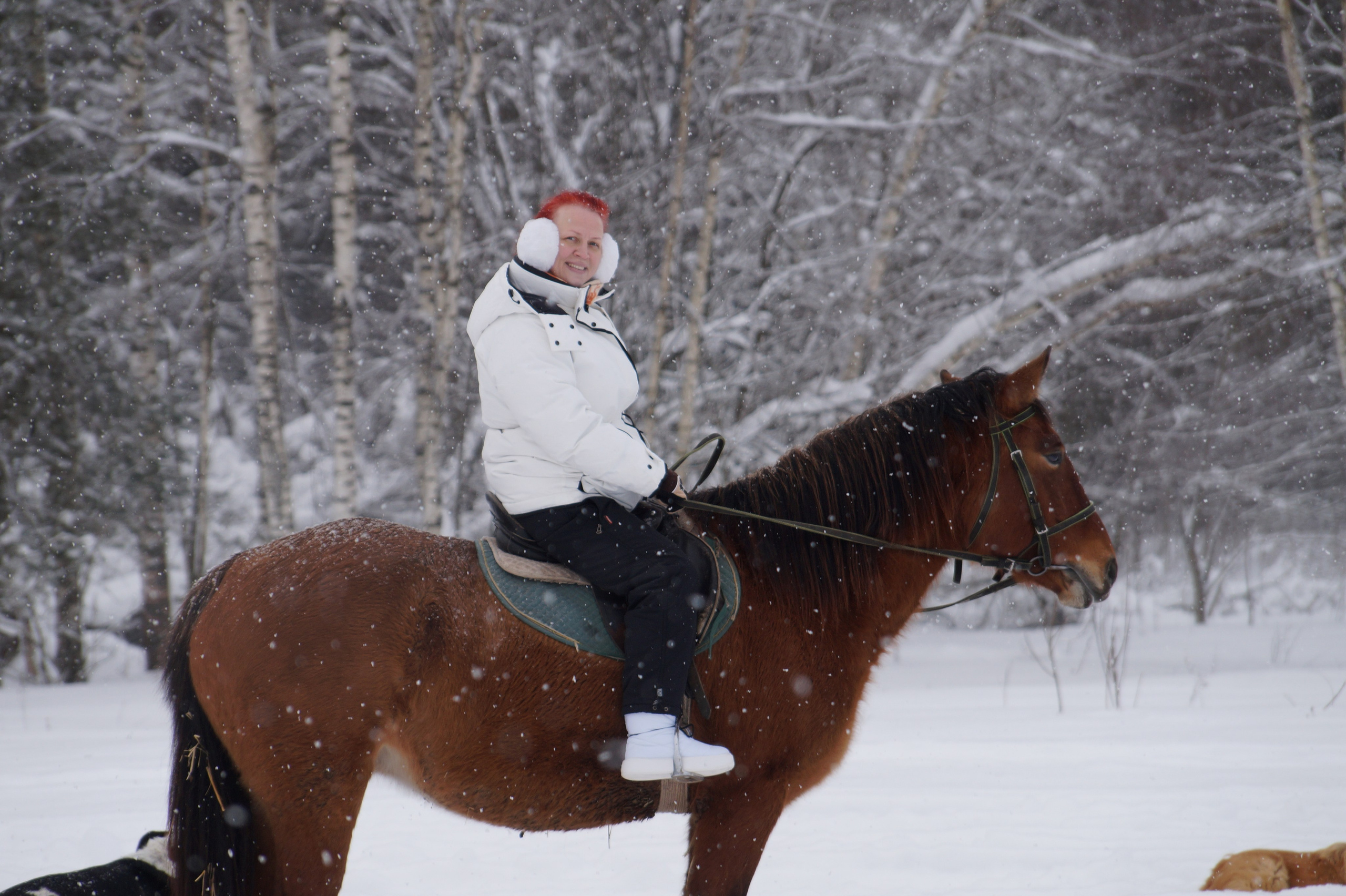 Лошадинг | 11.01.2026. Галерея Фантим