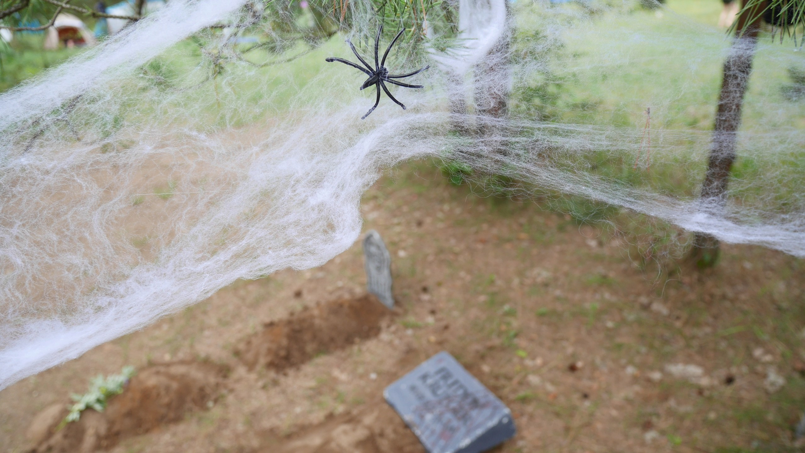 Походная романтика 28! Шабаш | 13-15.07.2018. Галерея Фантим