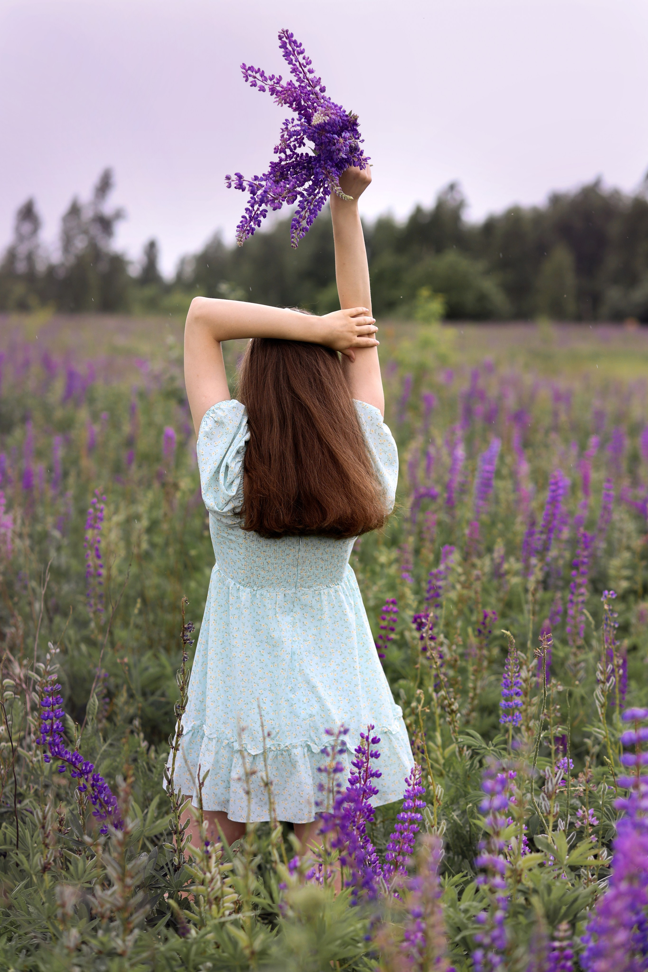 Люпины 2024. Свадебный и семейный фотограф в Рязани Анастасия