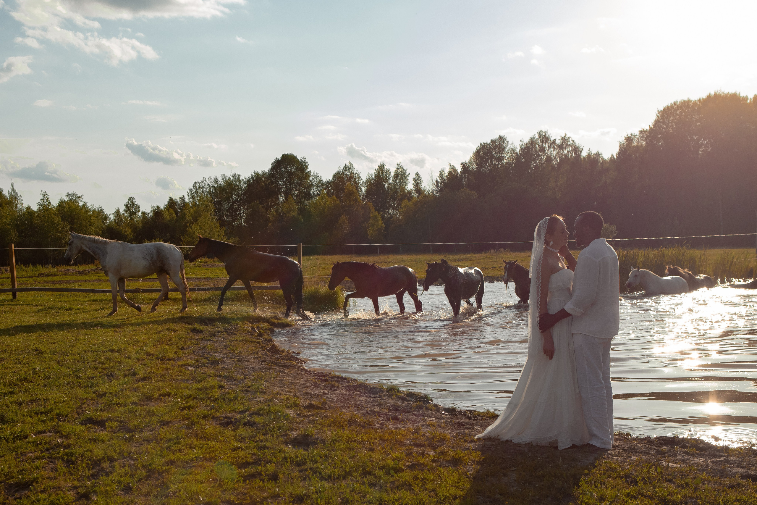 Необычная свадебная фотосессия в Москве с лошадьми
