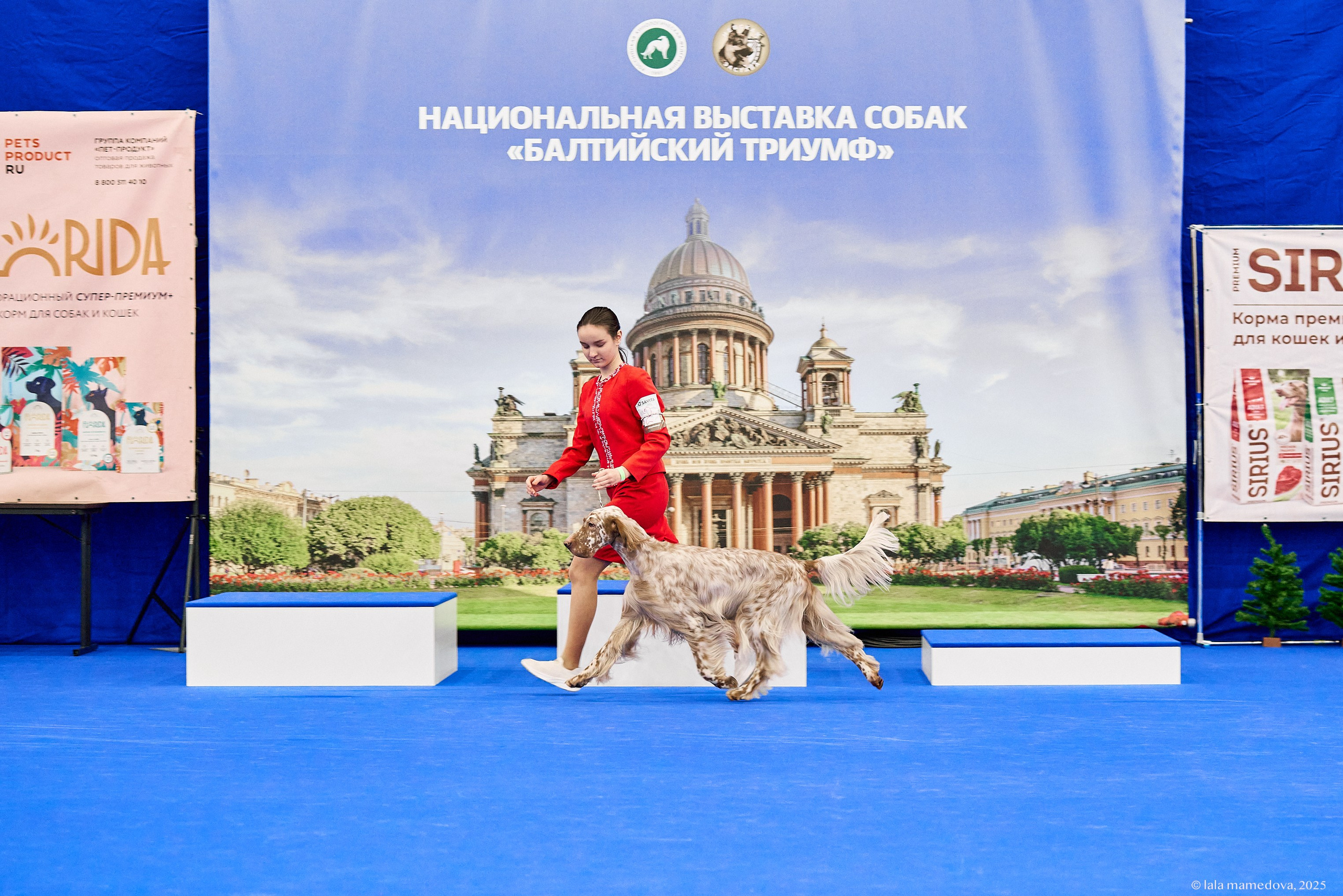 22-23 FEB 2025 | NATIONAL DOG SHOW «BALTIC TRIUMPH-2025»