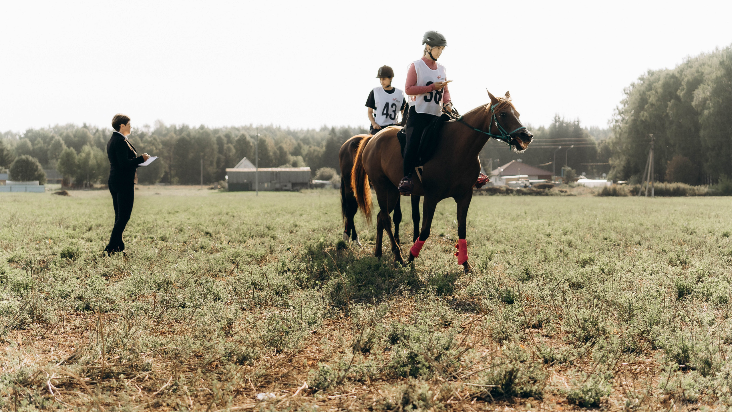 День Коня. Алиса Никитцова | Фотограф в Казани