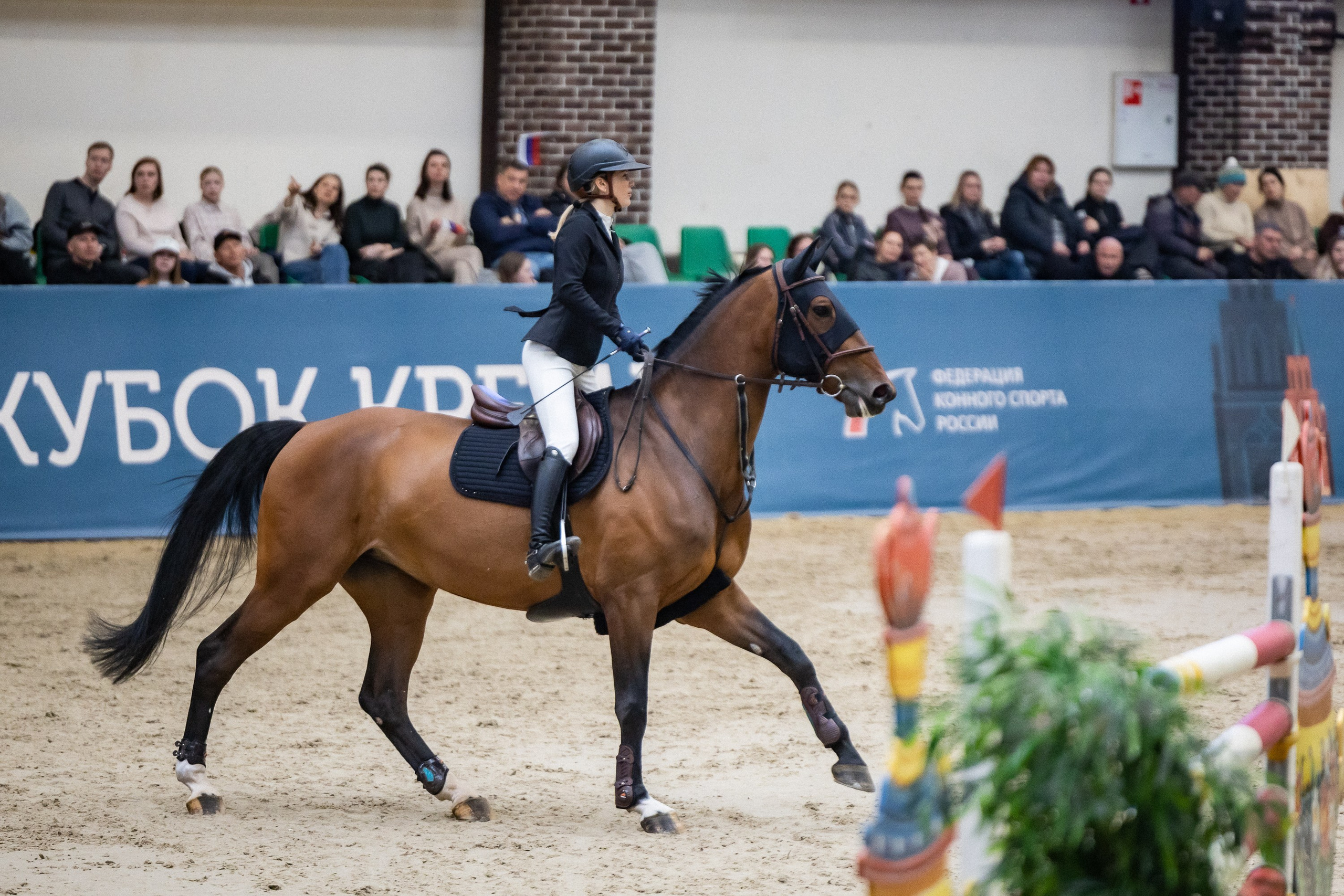 Кубок Кремля по Конкуру 12.04.25. Фотограф Владимир Охрименко