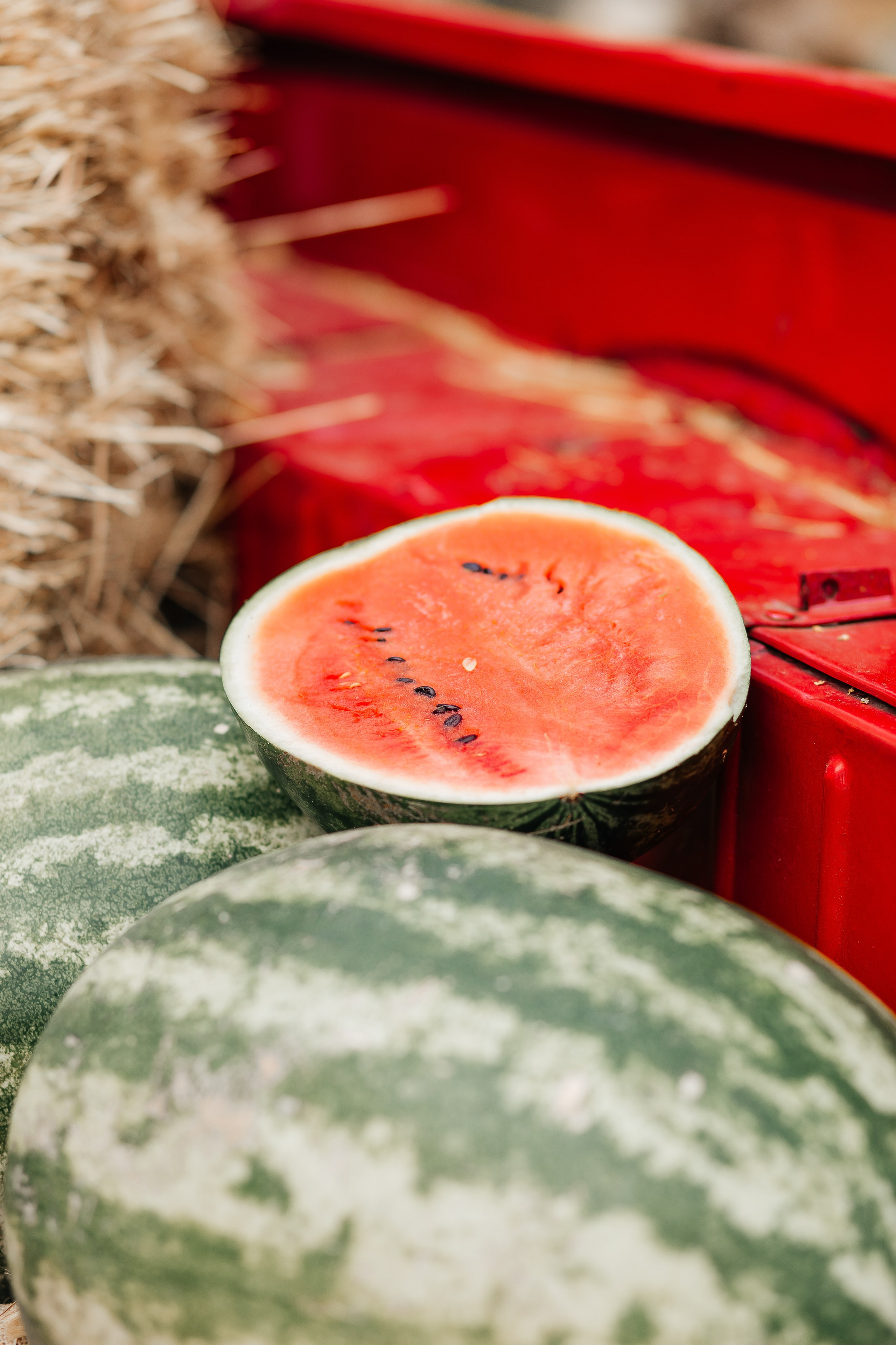 Осенняя детская фотосессия с арбузами. Фотограф в Подольске — Мария Бучнева