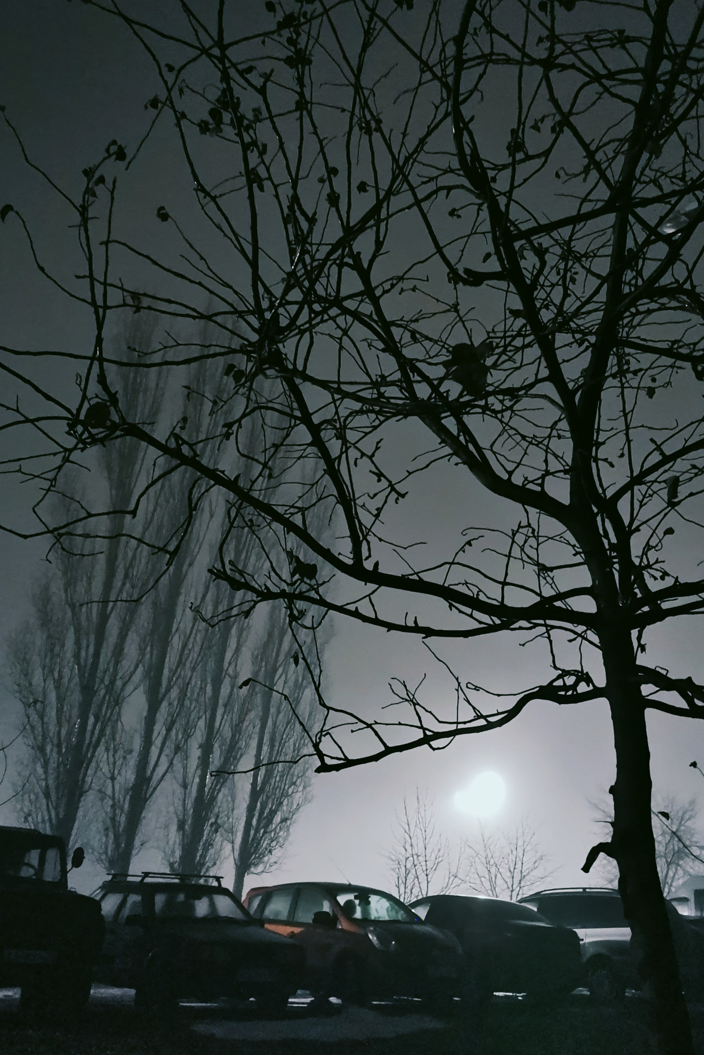 Земля. Фотограф Старый Оскол Мавлыга Мария