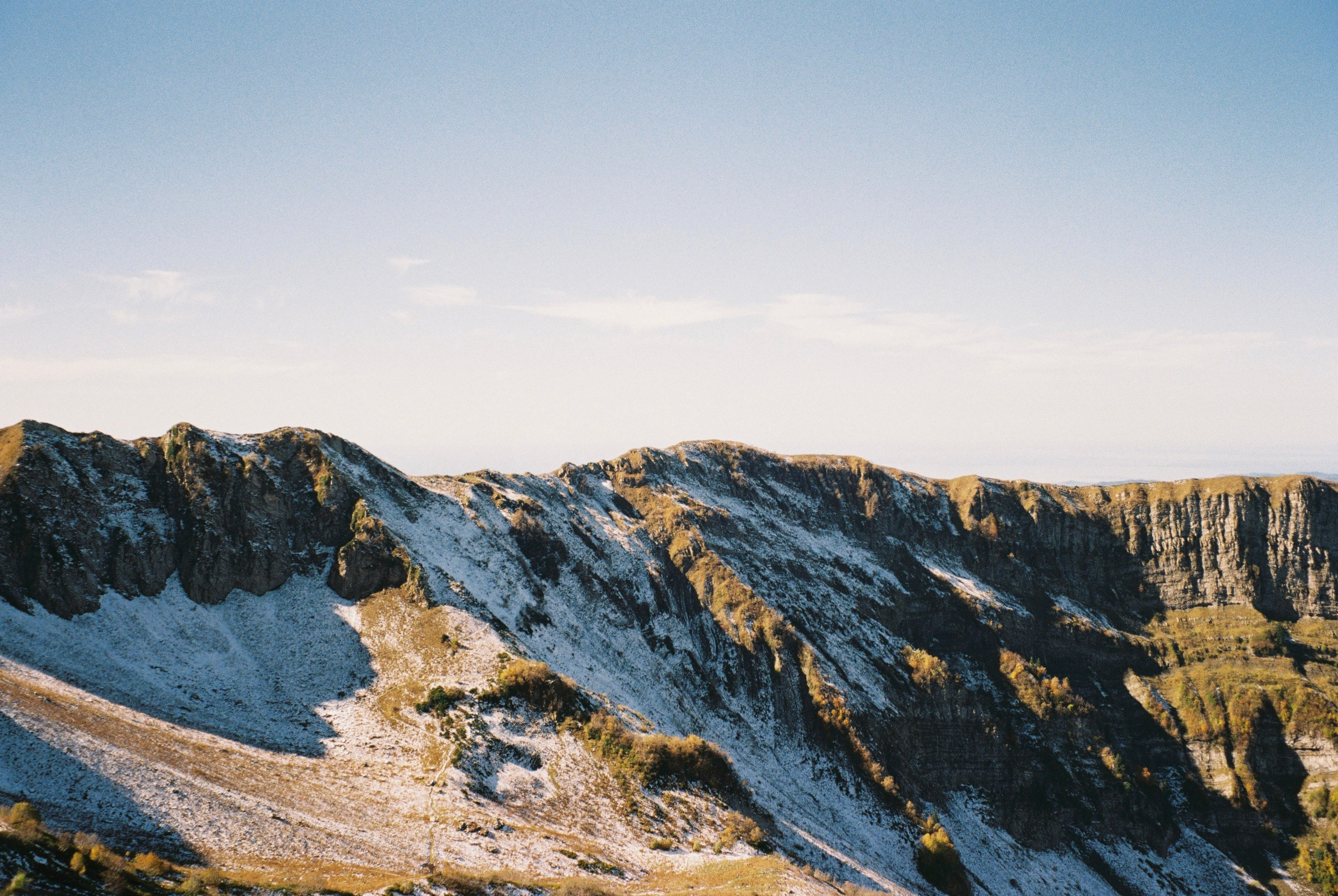 Всякие картинки