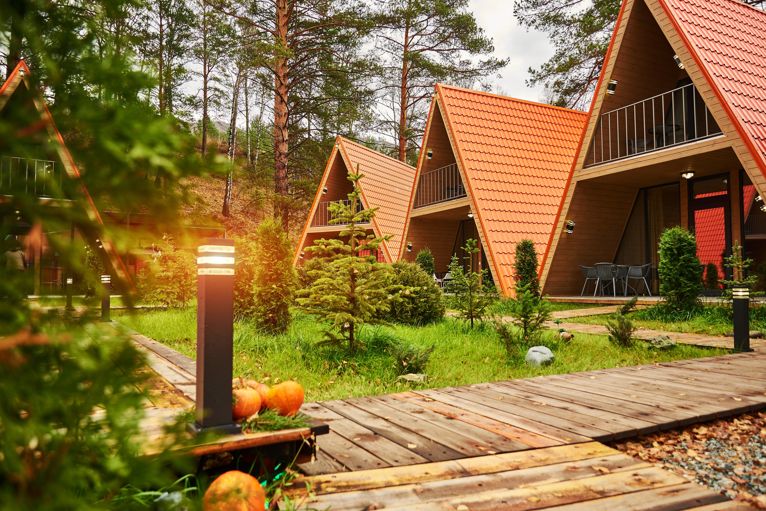 Отель Robin Good. Семейный фотограф в Барнауле, Горный Алтай, Заринск, Алейск